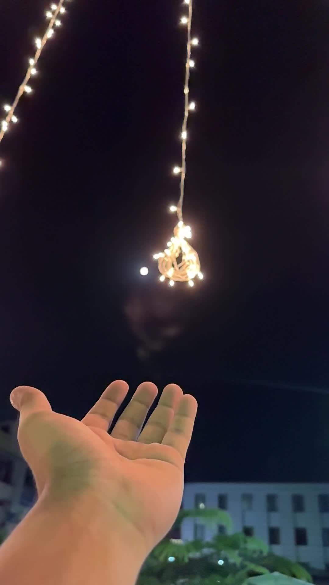 @༺ᴍᴀ͢͢͢ʟɪᴋ༻🌙