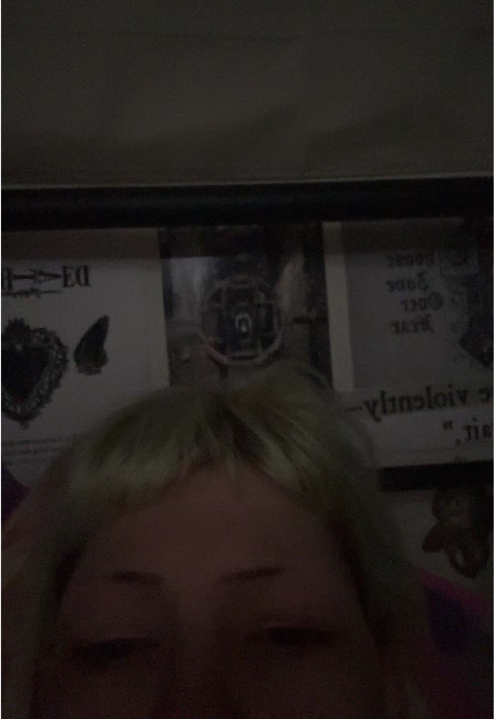 @˃ 𖥦 ˂