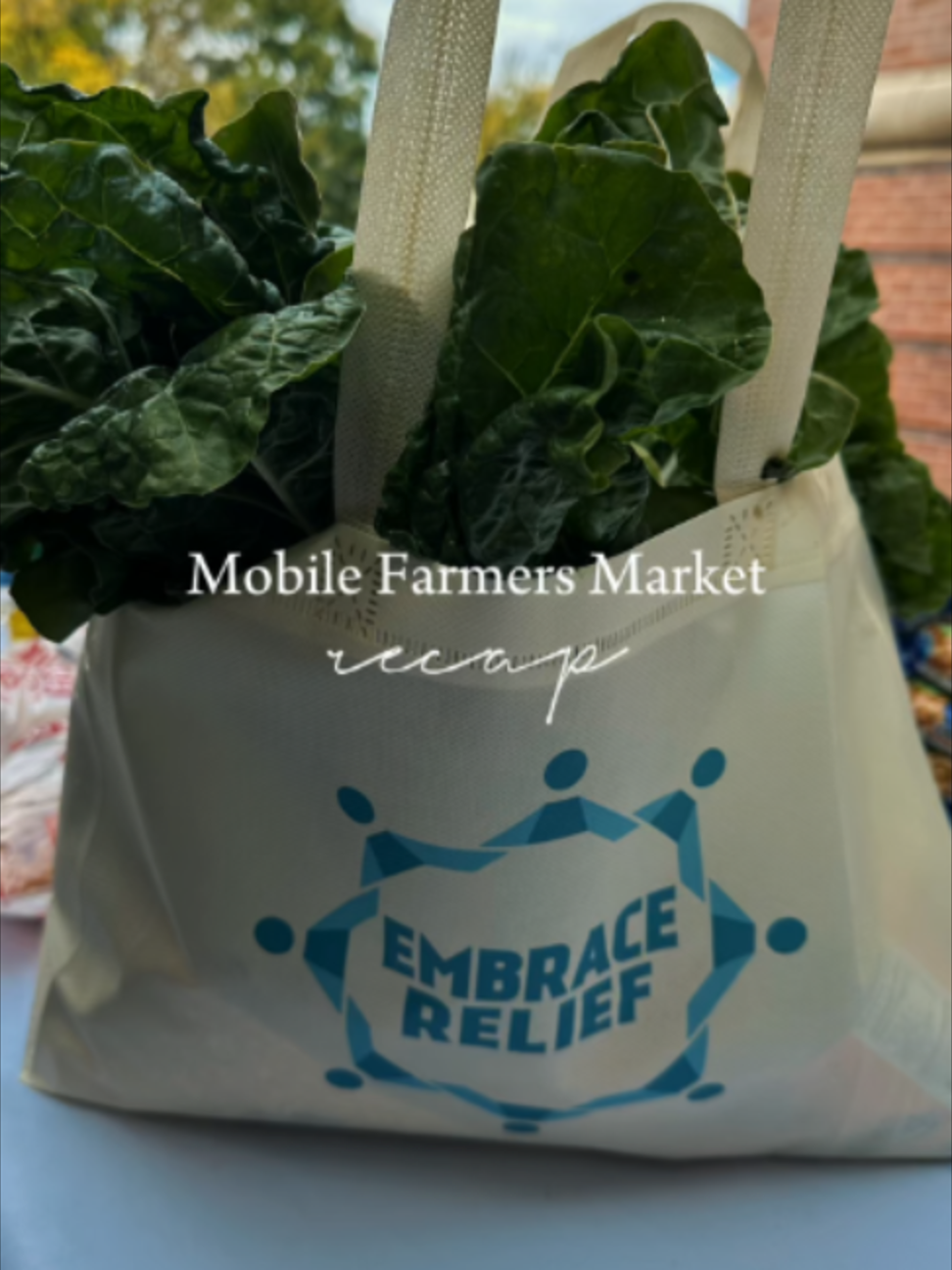 @Embrace Relief