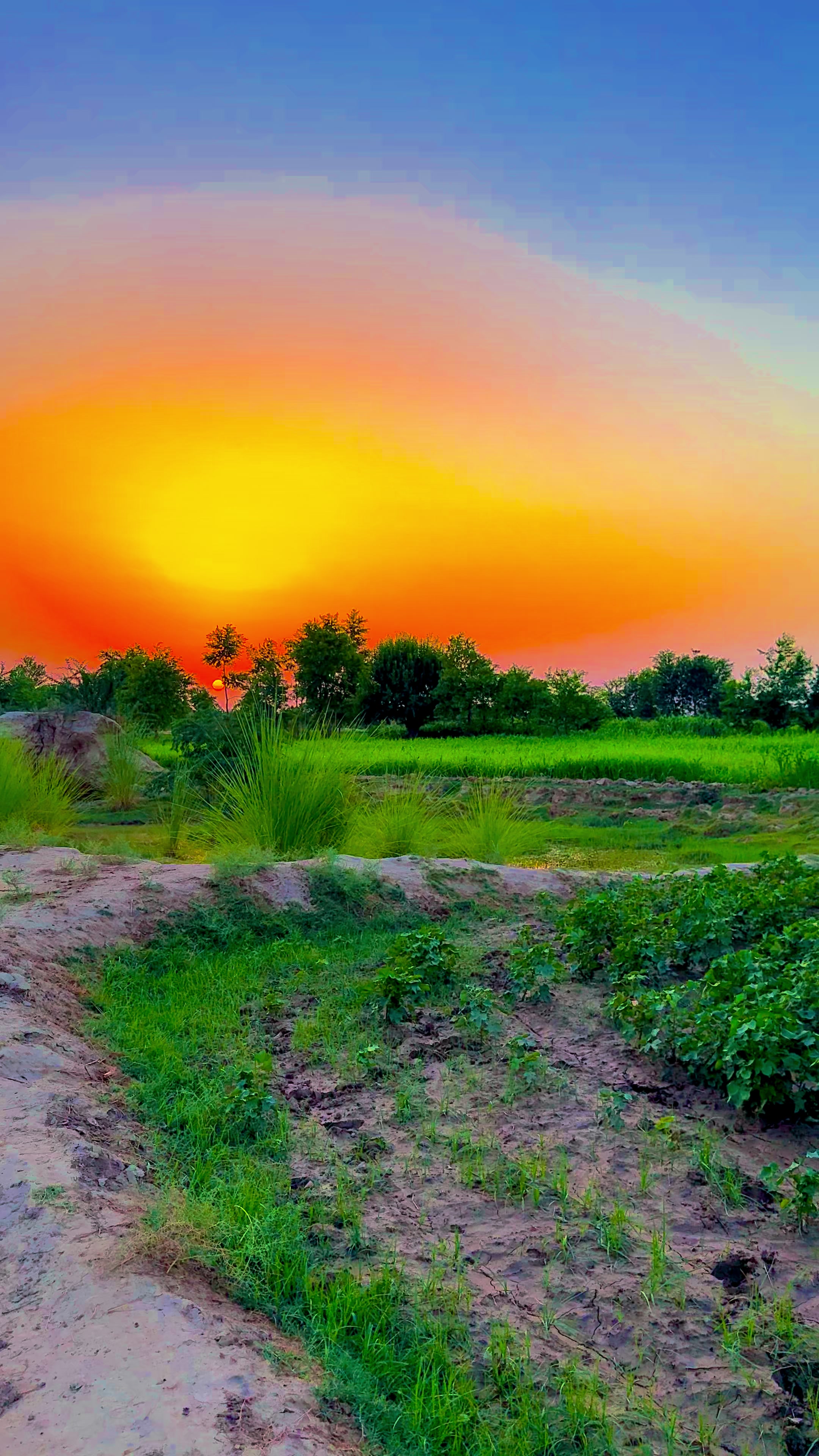 @🌾میں۔ میرا۔ پنڈ🎋