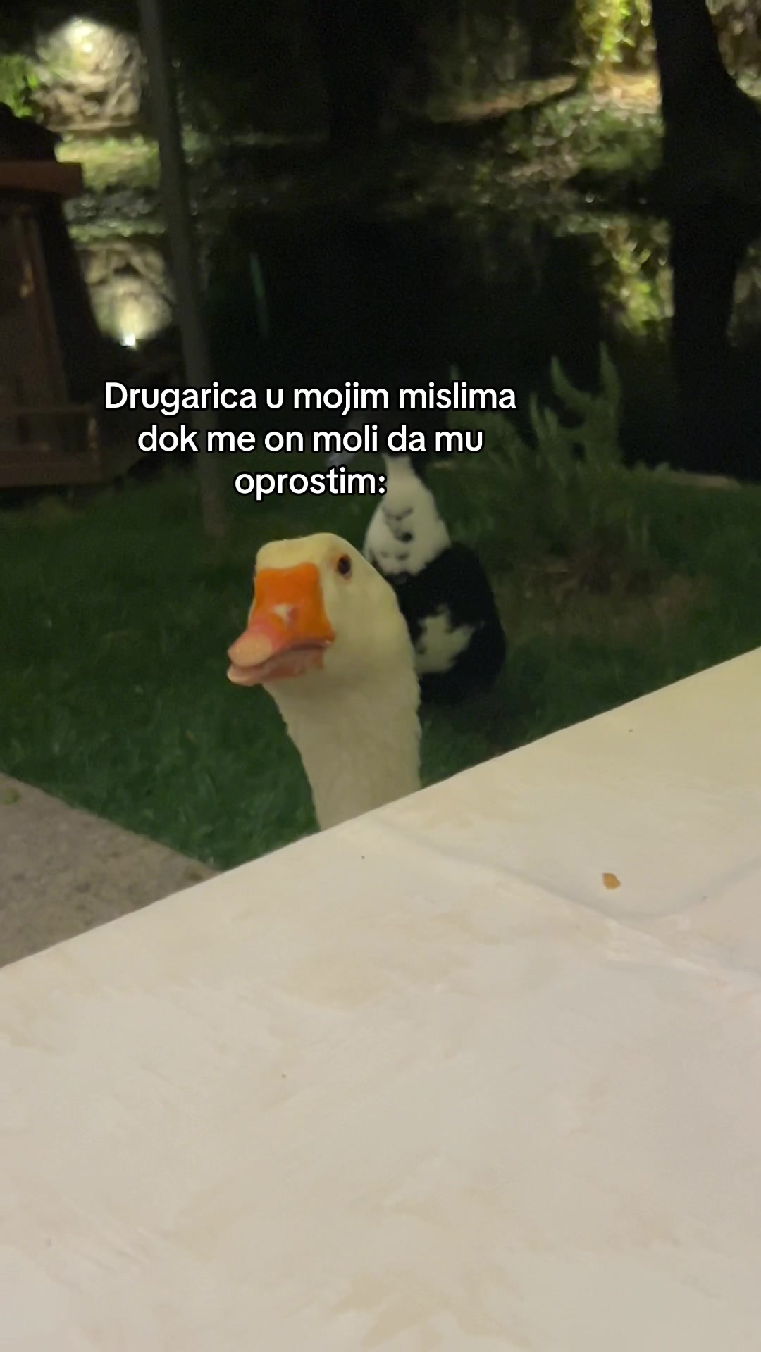 @Milev🅰️