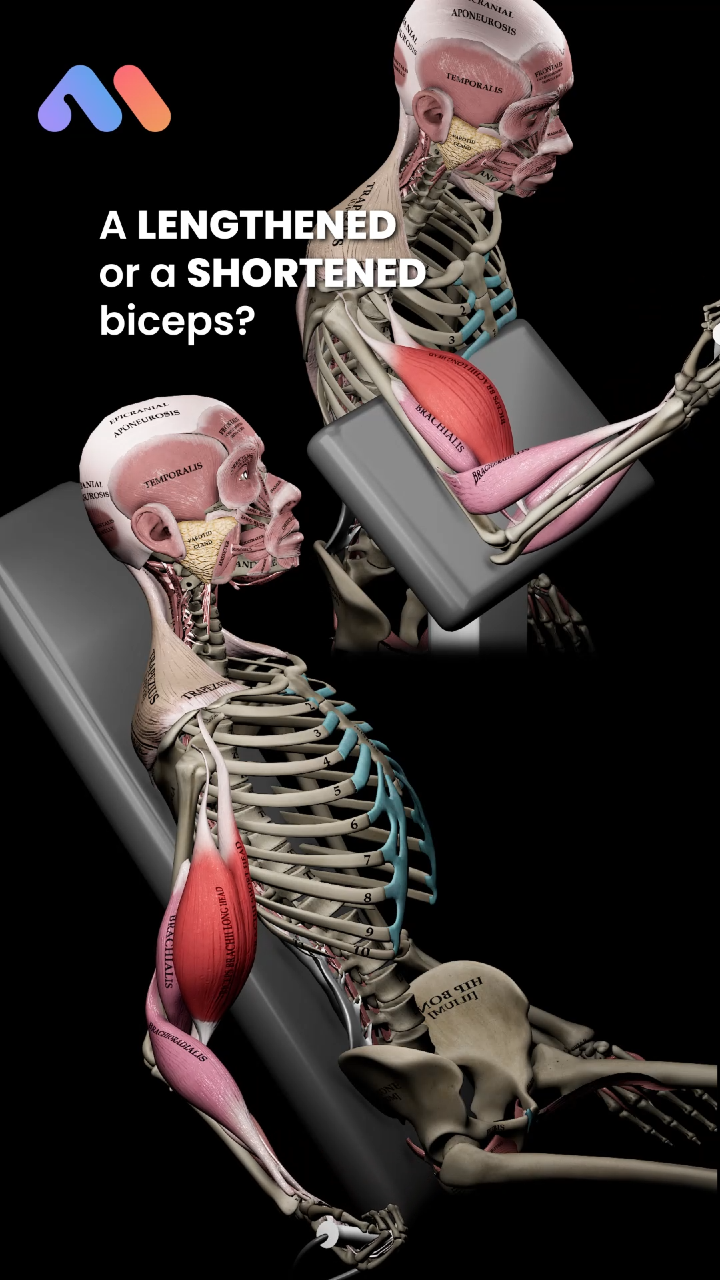 @Muscle & Motion