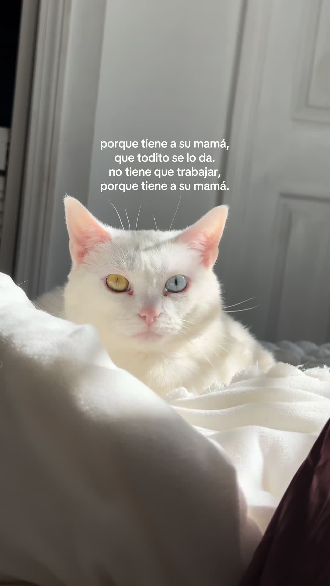 @Yiseni Frómeta