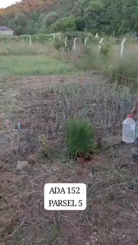 @Satılık Köy Evleri