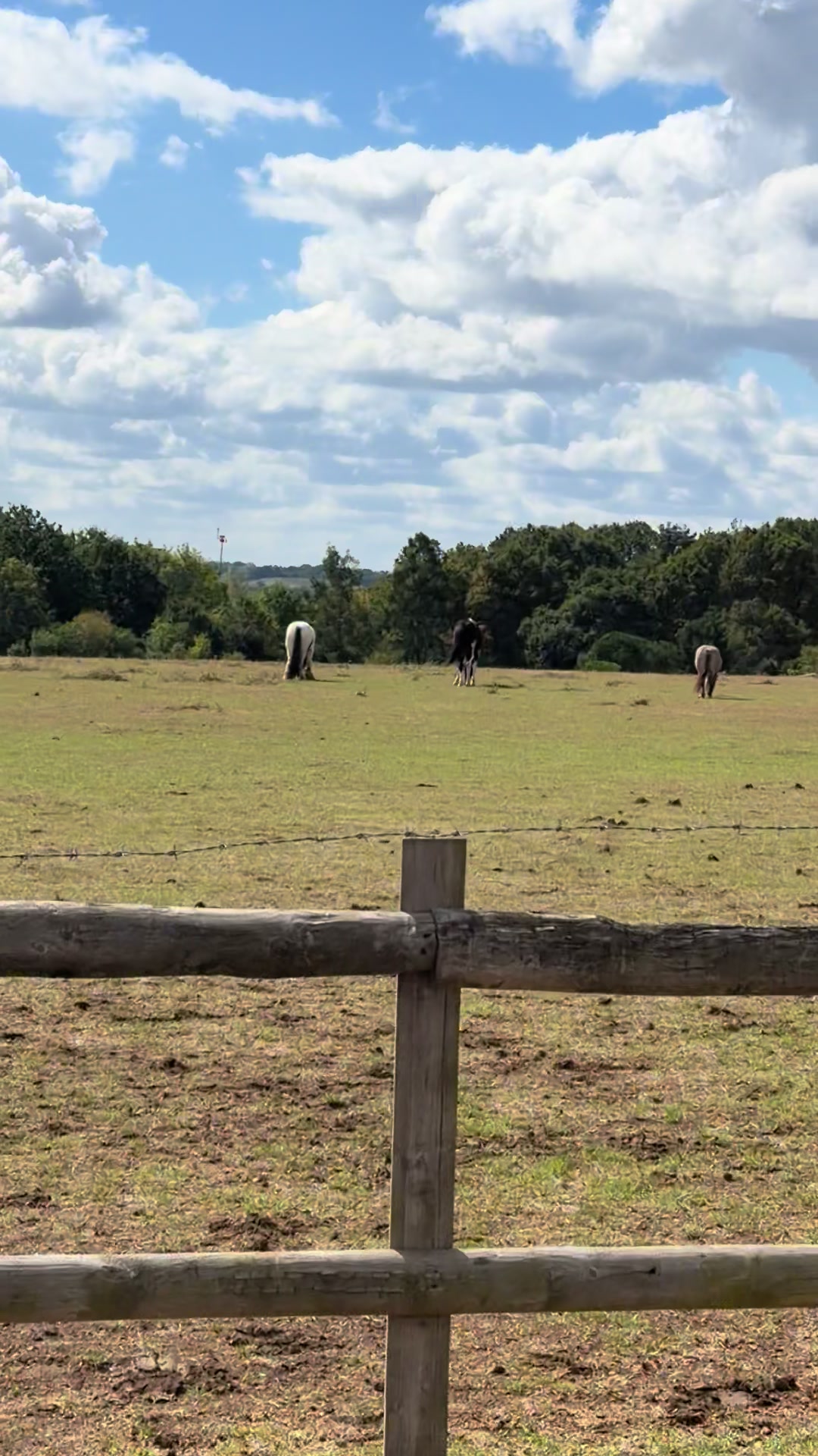 @eastendfarm_london