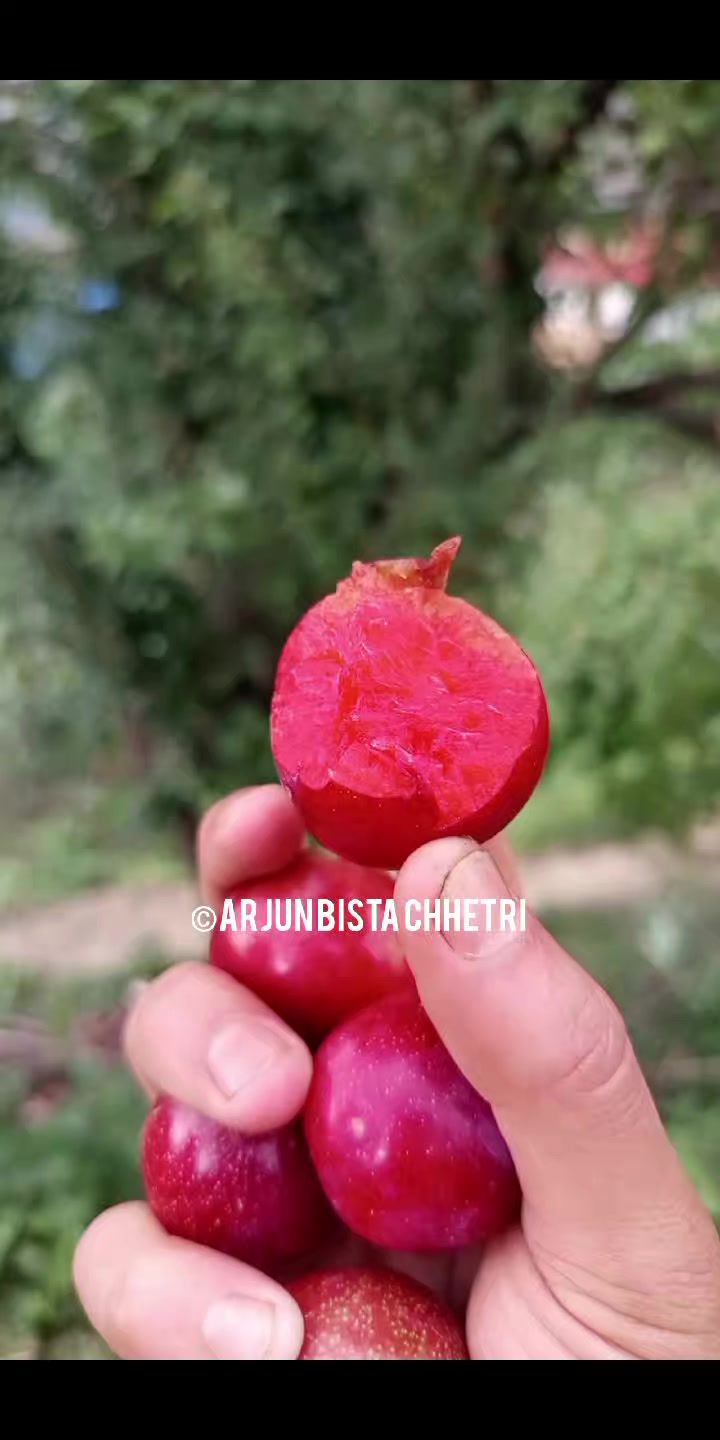 @Arjun Bista ❤️