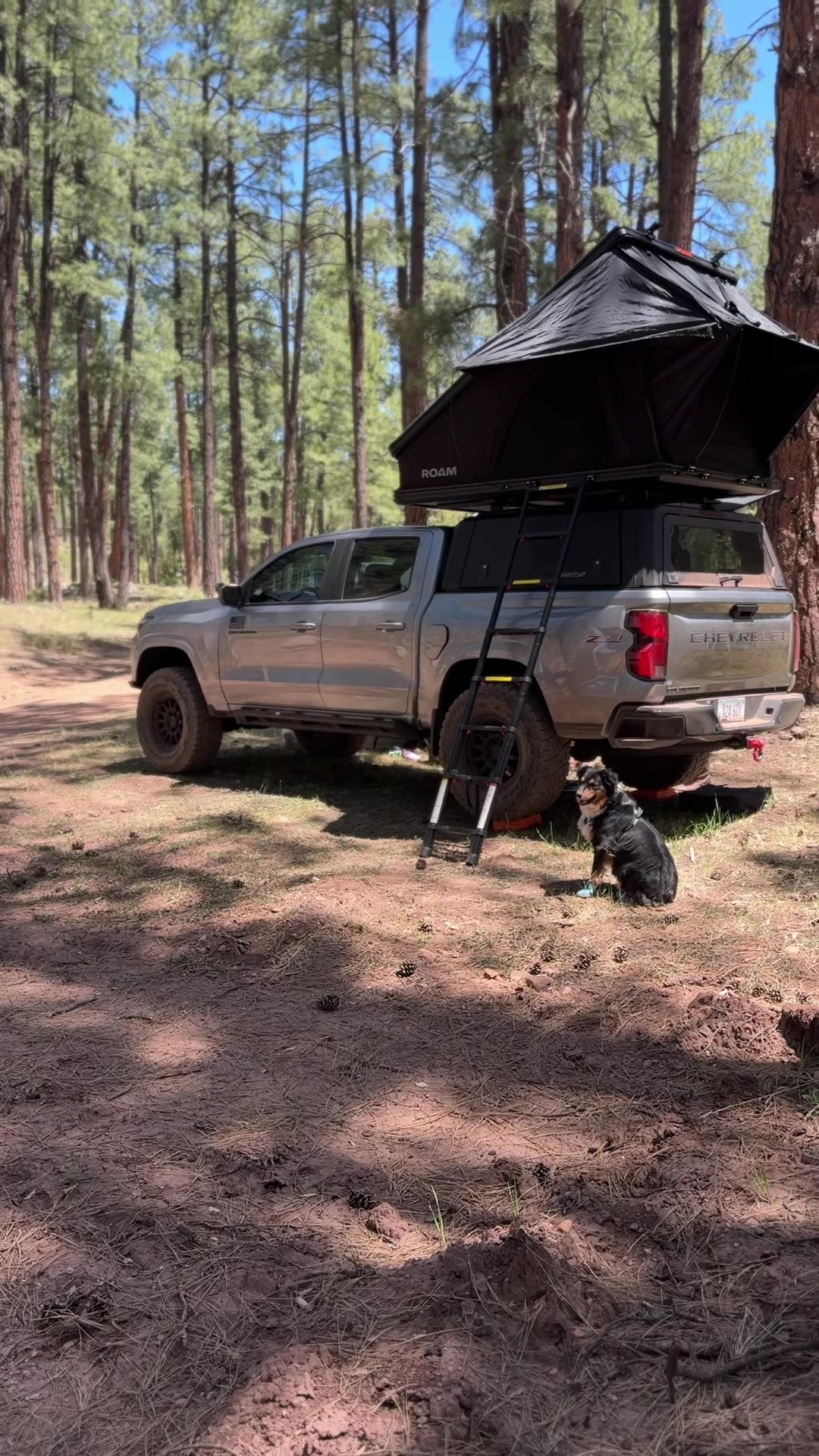 @Roam.z71