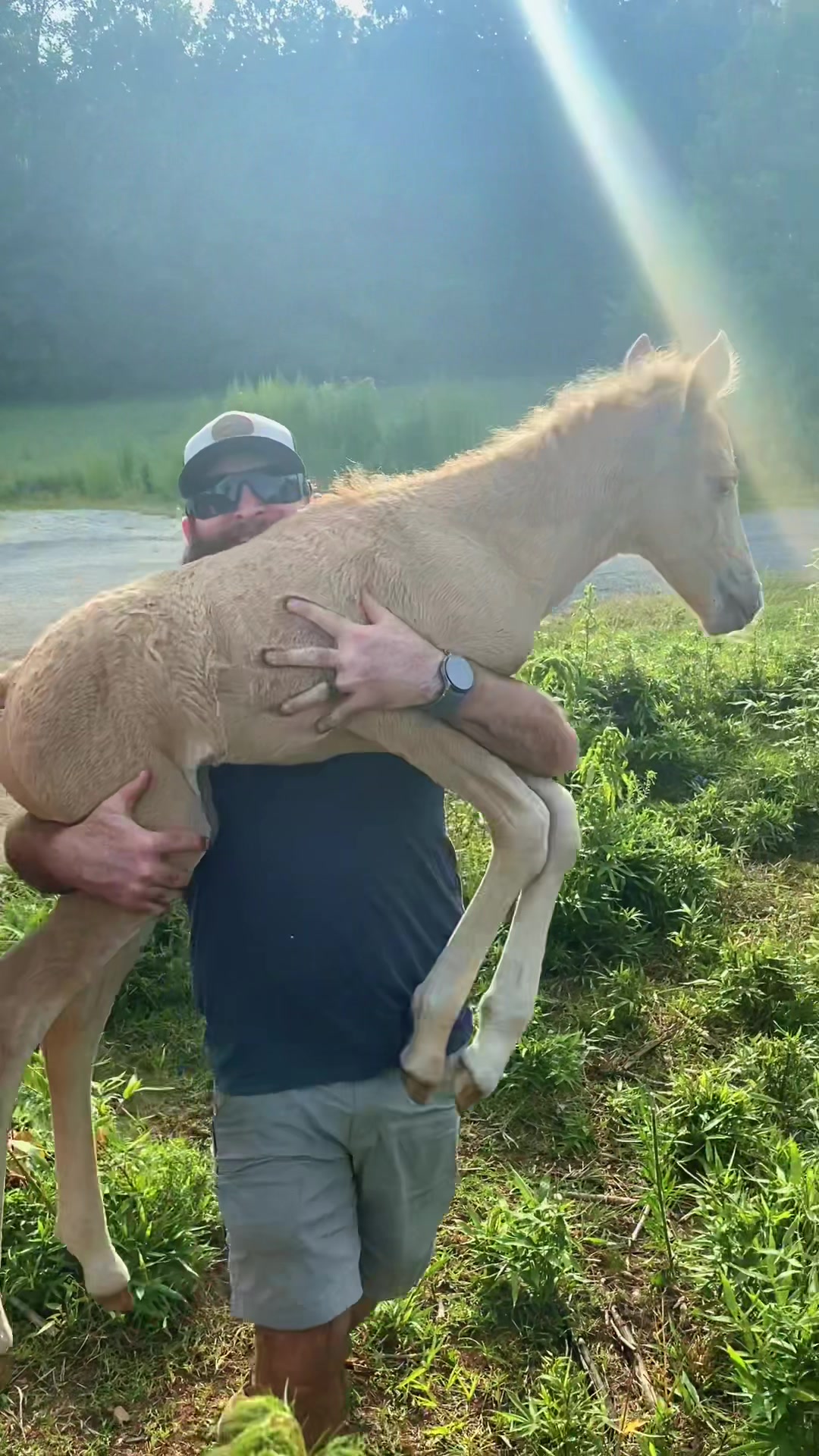 @SlowlaneFarm