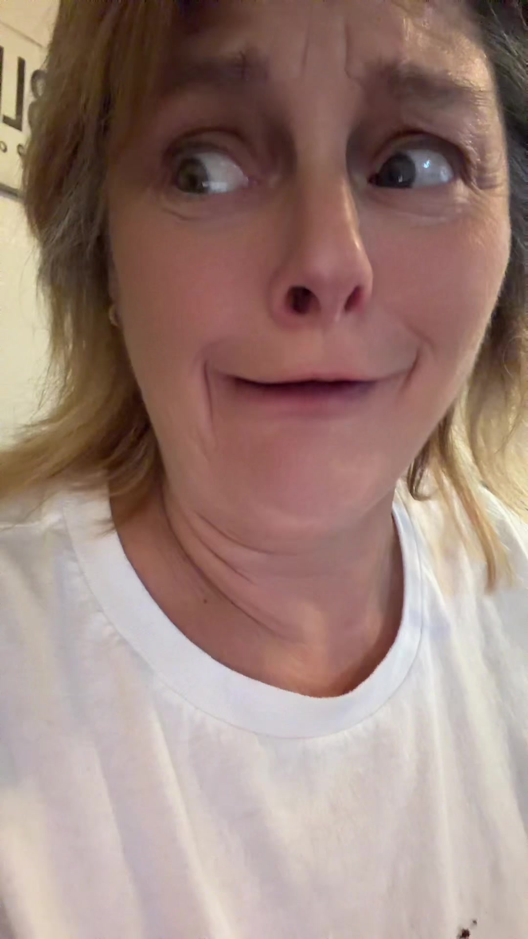 @Bitolove