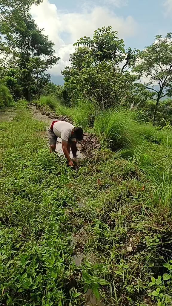 @Hari Adhikari