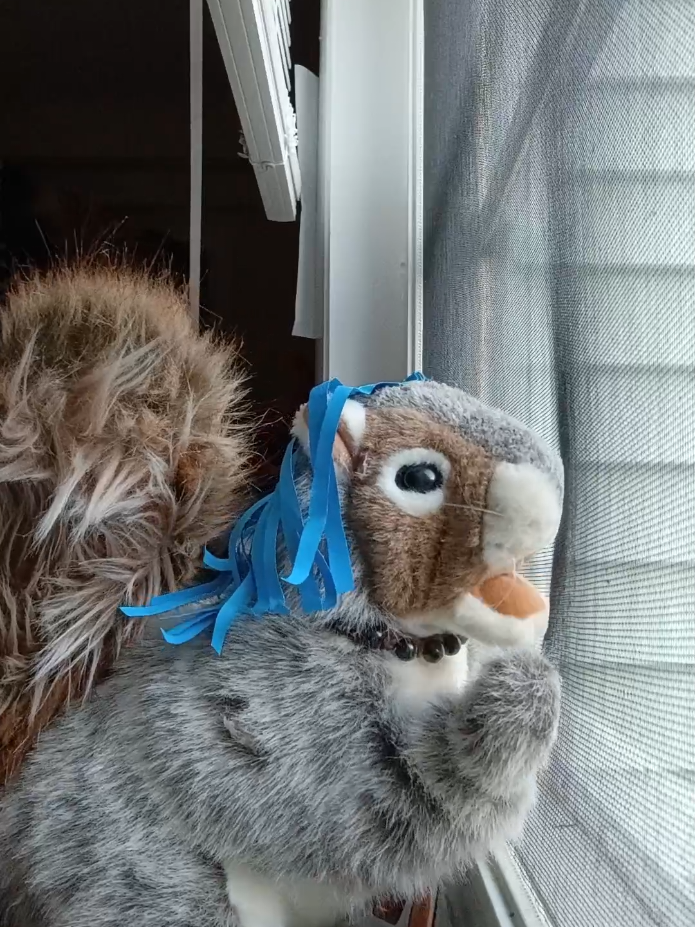 @Charles The Squirrel