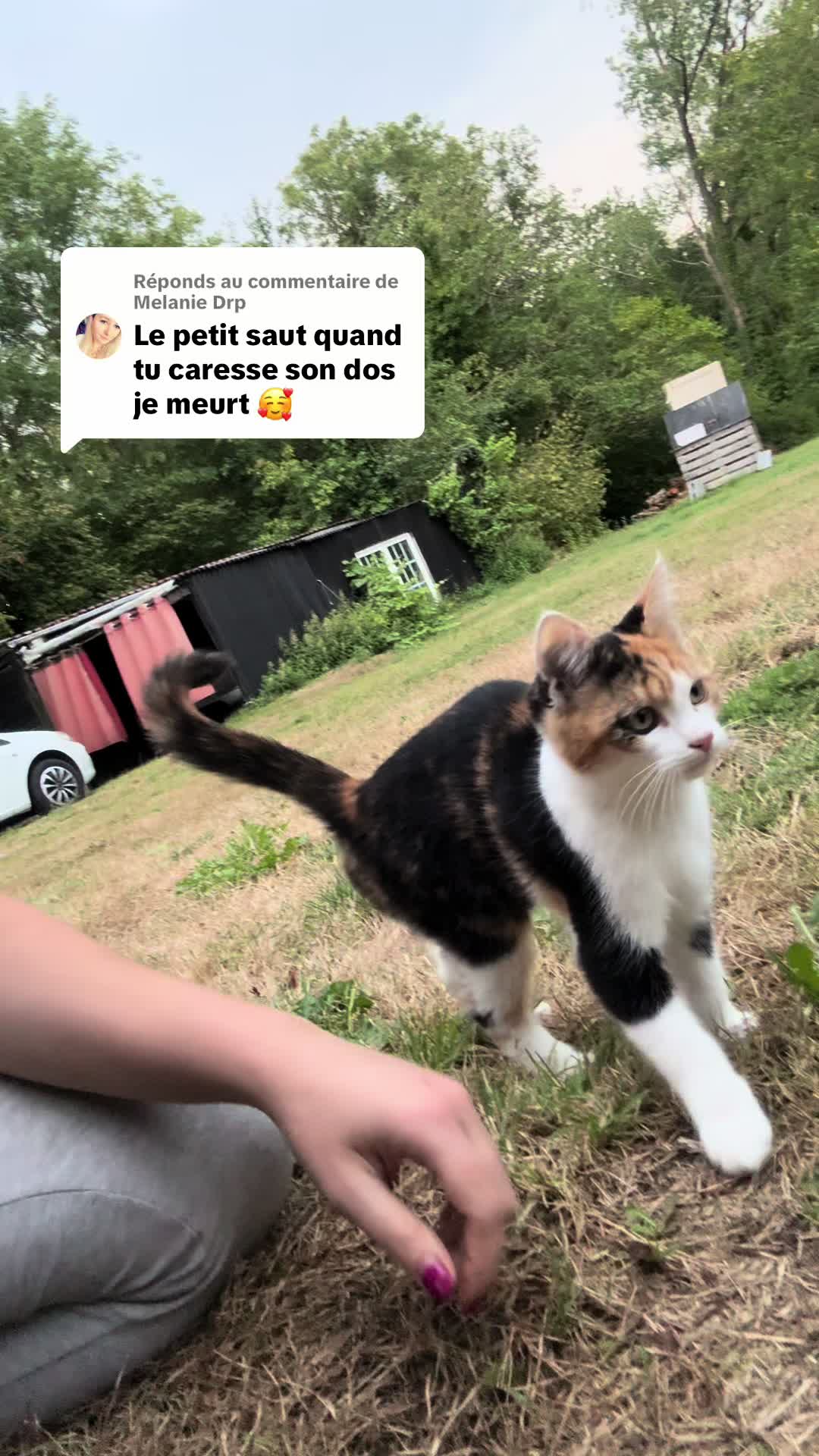 @XoxoPOKA