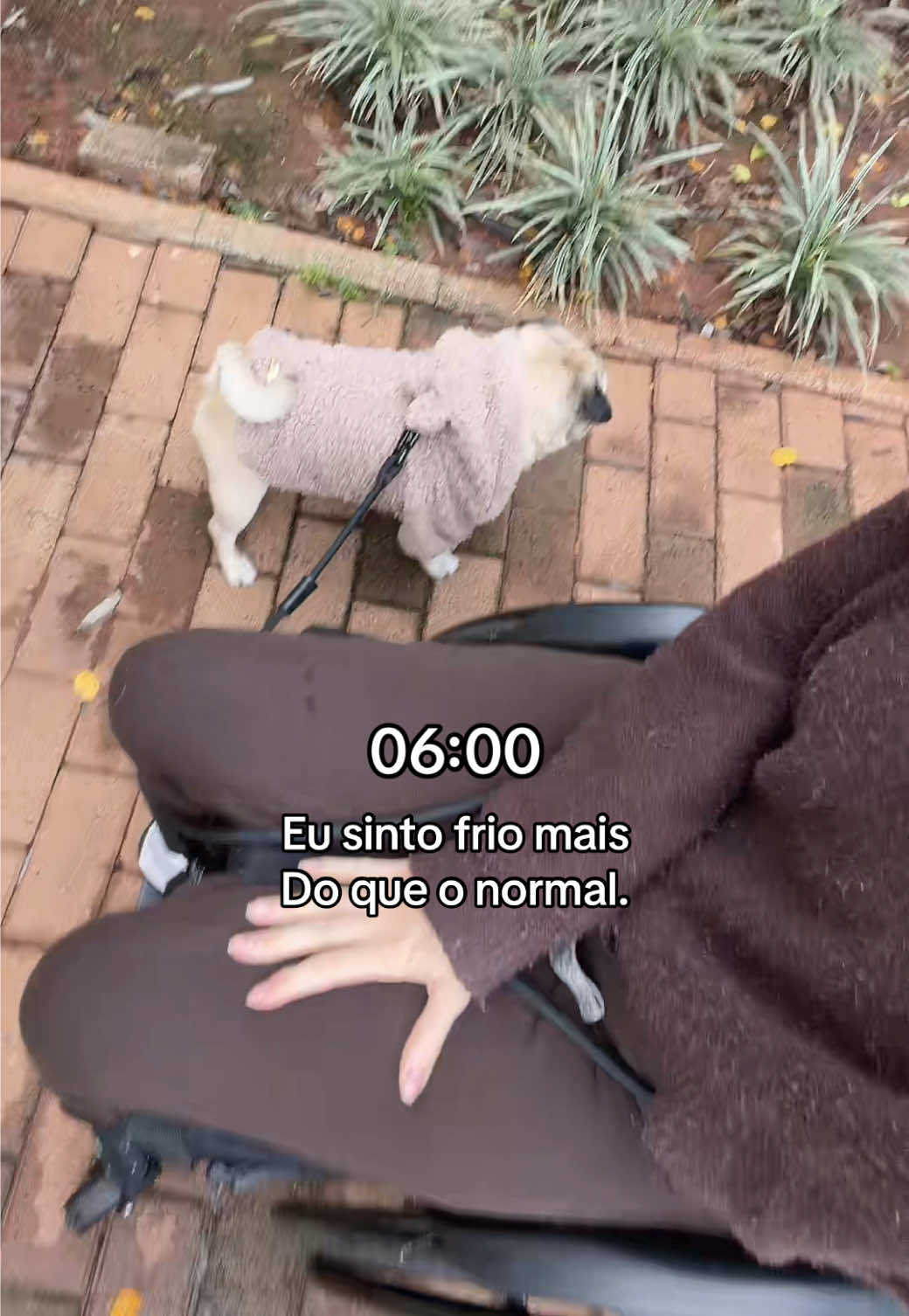 @Melzinha🕊️♿️