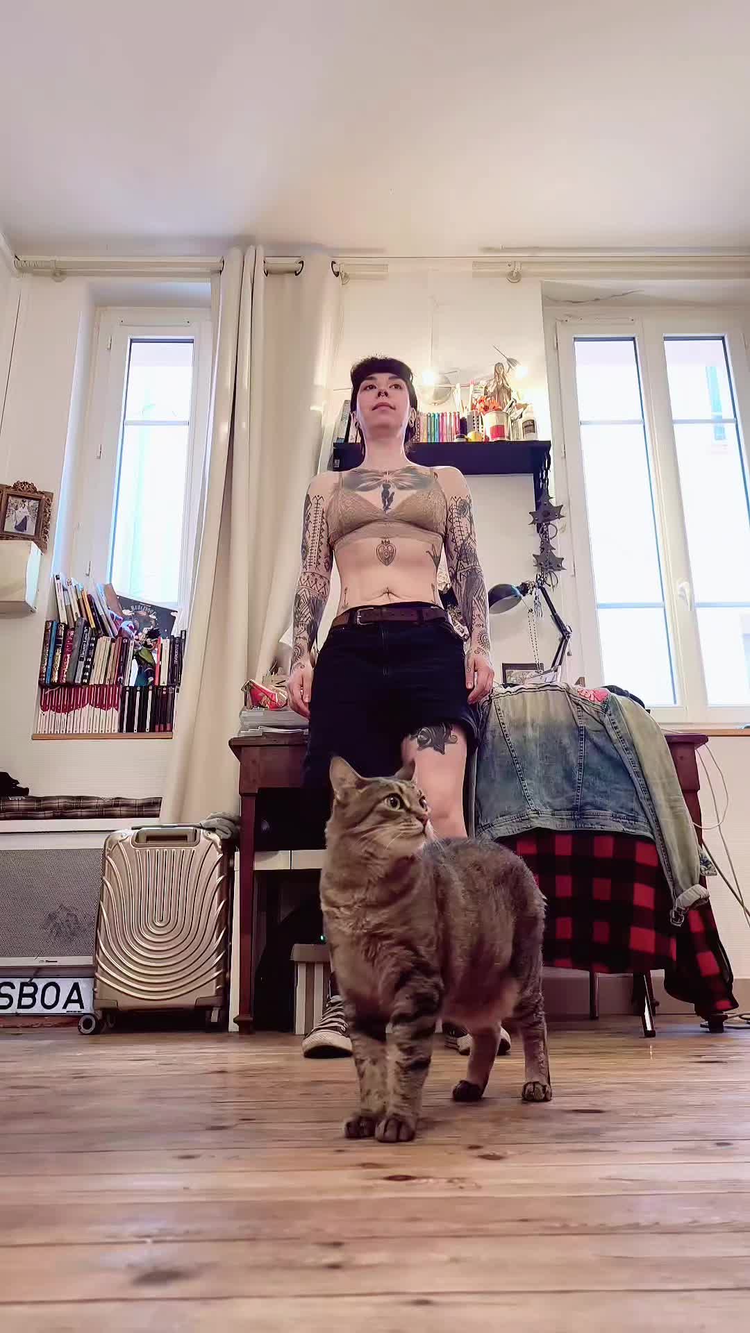@Sofia Tarquin