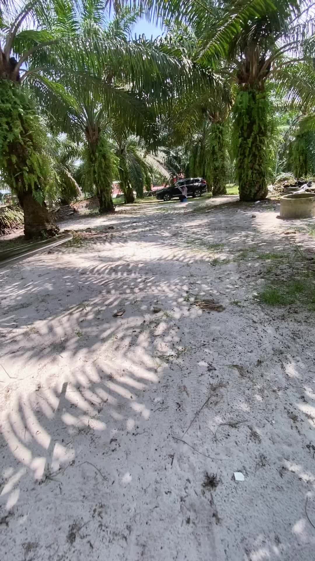 @Agus Pandu769