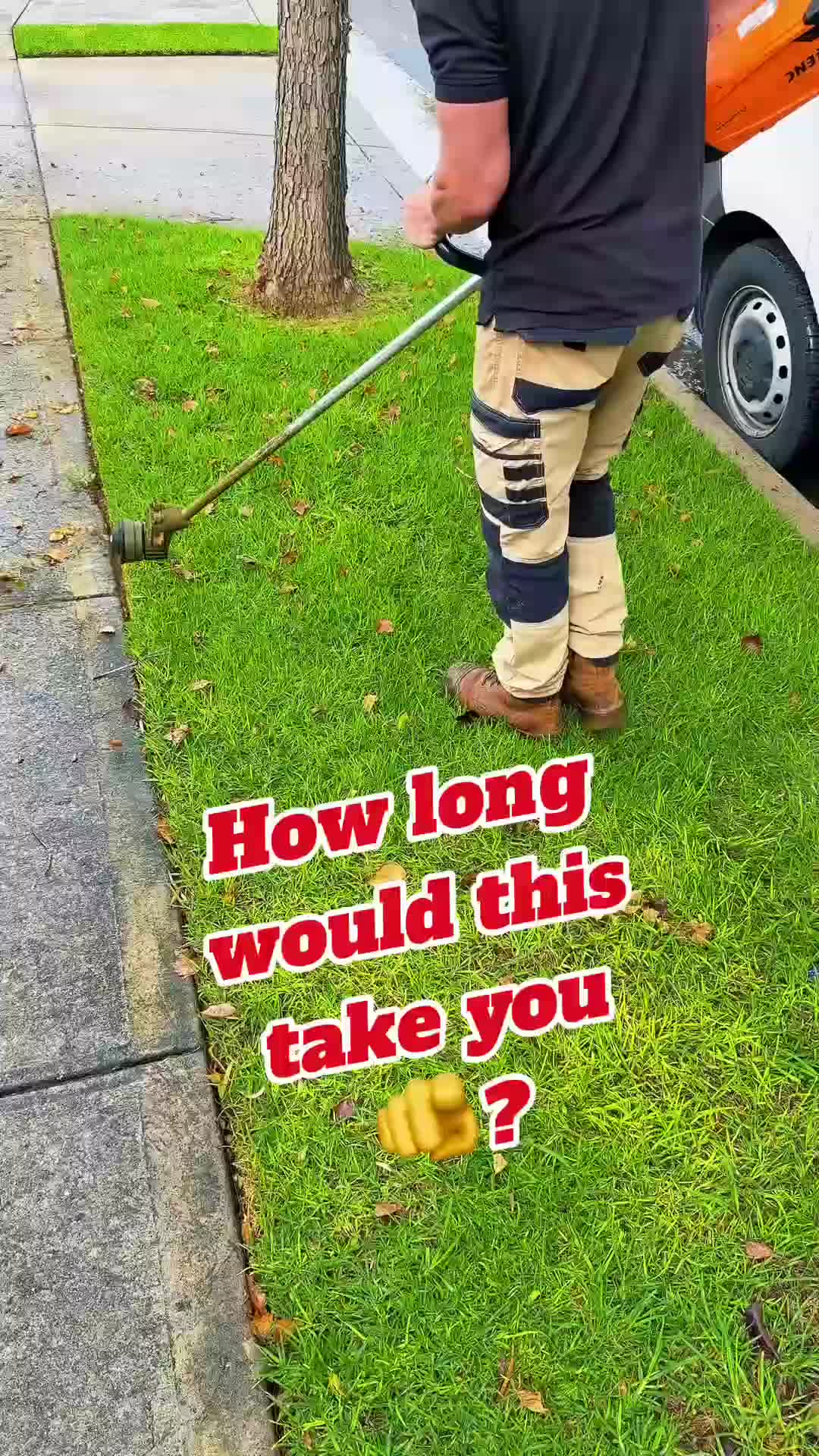 @Trusted Garden Maintenance