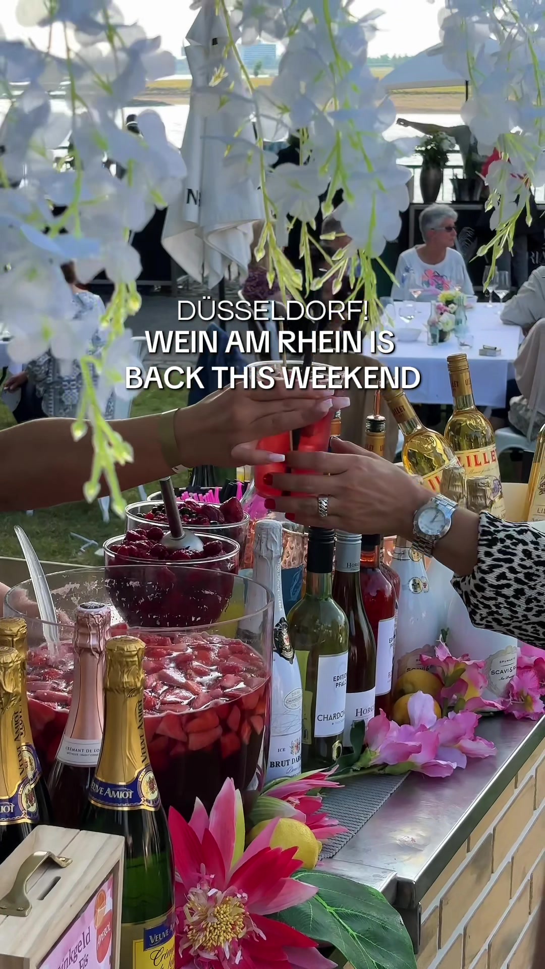 @Mr. D&uuml;sseldorf