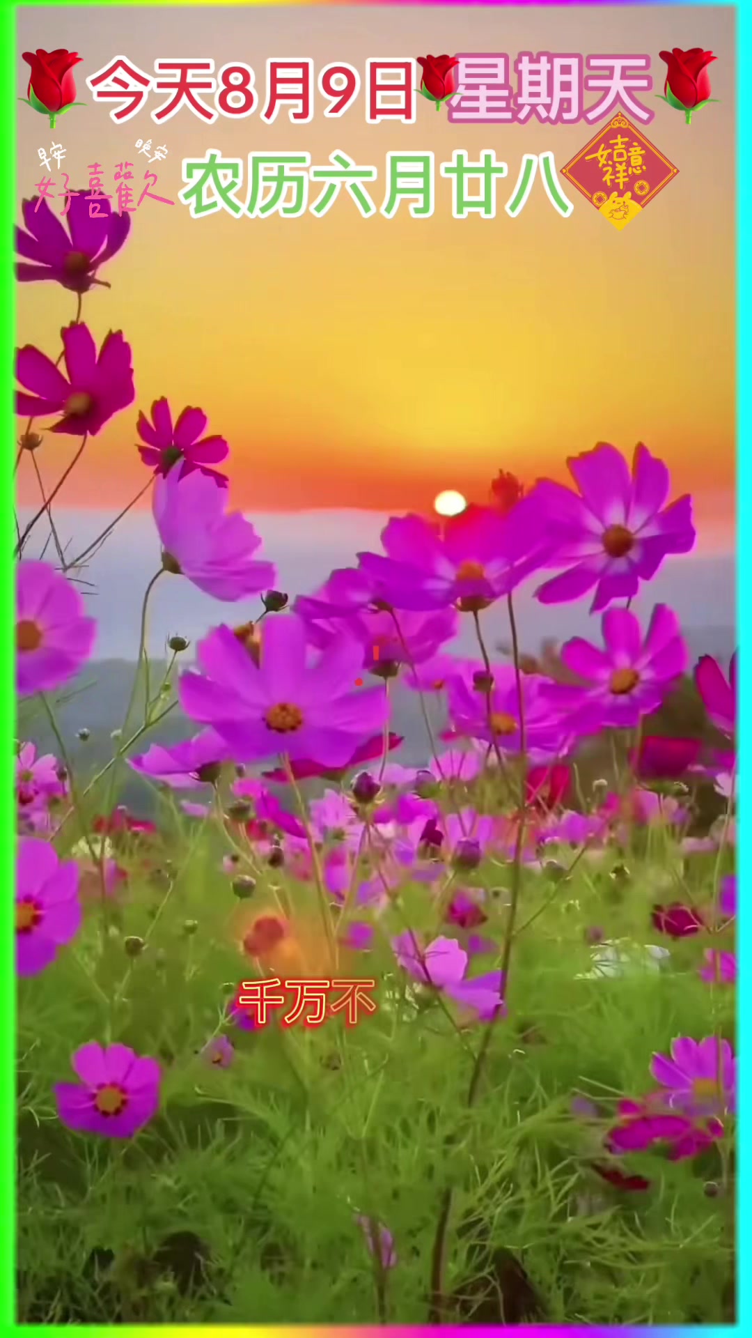 @leolin91912