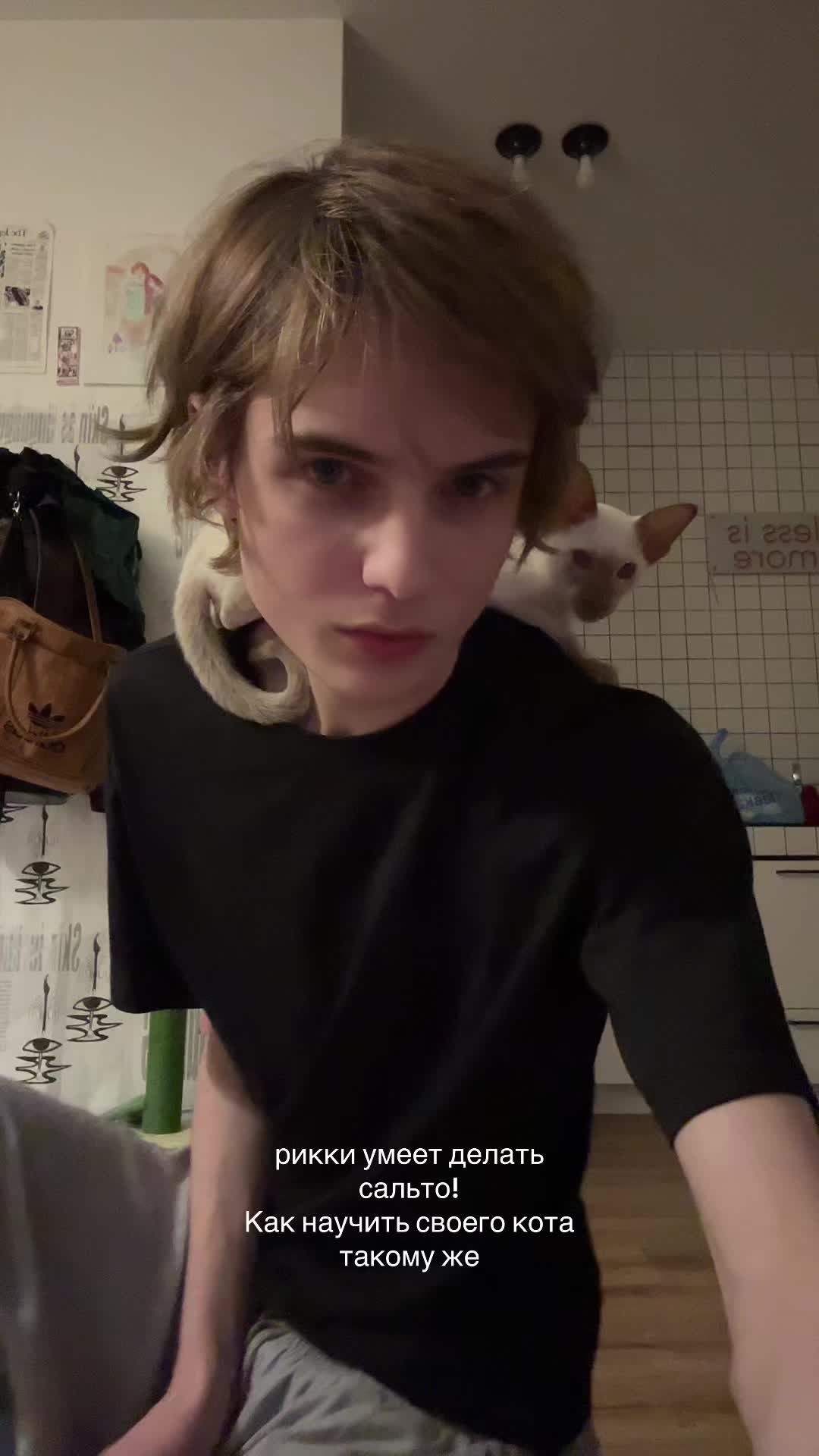 @дигримис