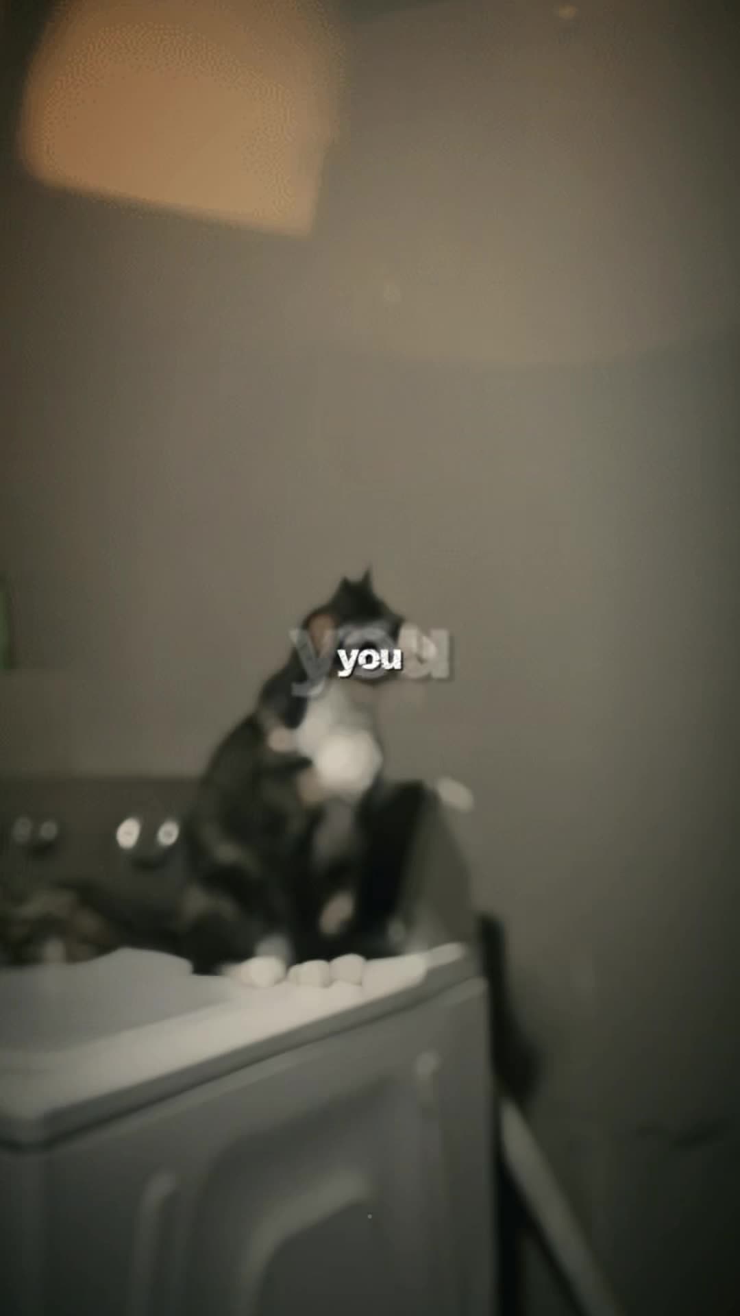 @rubierude25