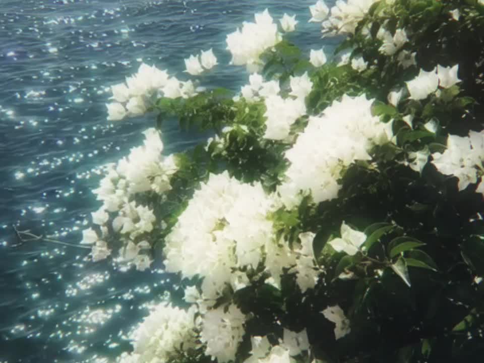 @𝘿𝙄𝙂𝙄𝙏𝘼𝙇𝙄𝙎