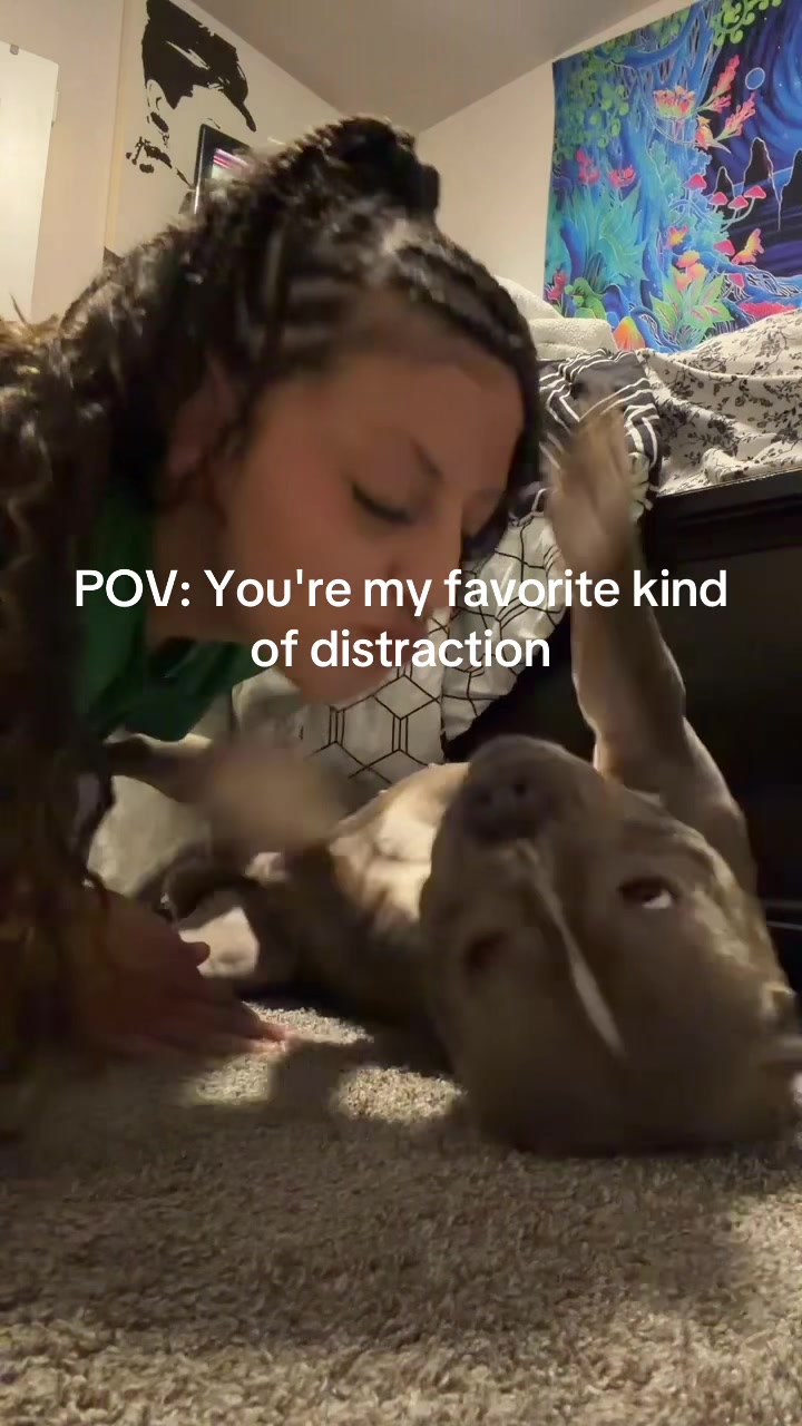 @ashhmachelle