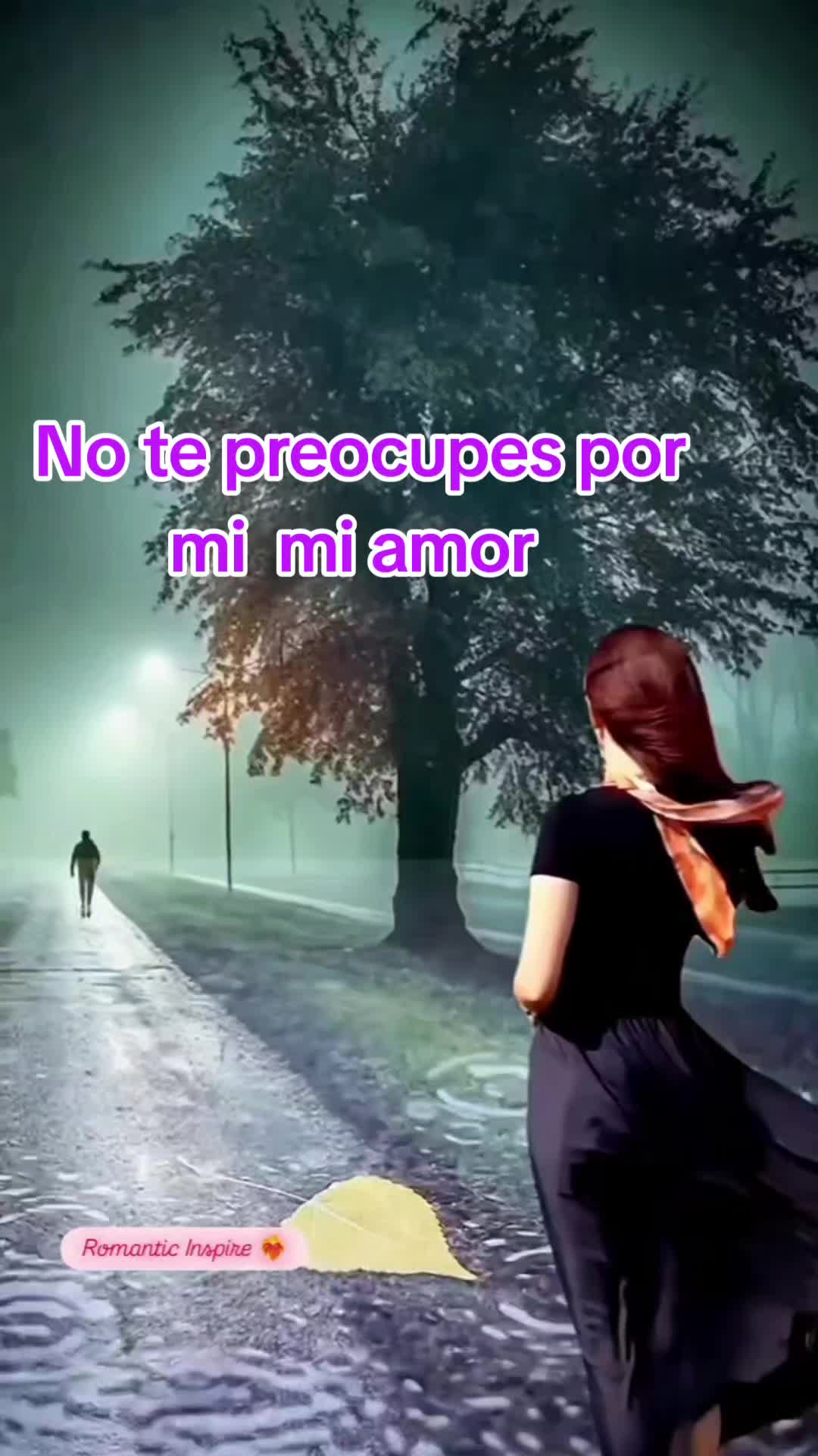 @Gaviota777