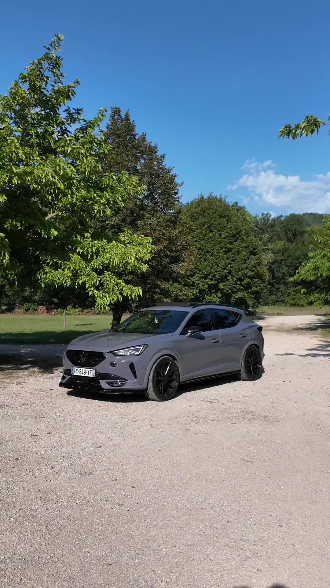 @LionCuprAFormentor