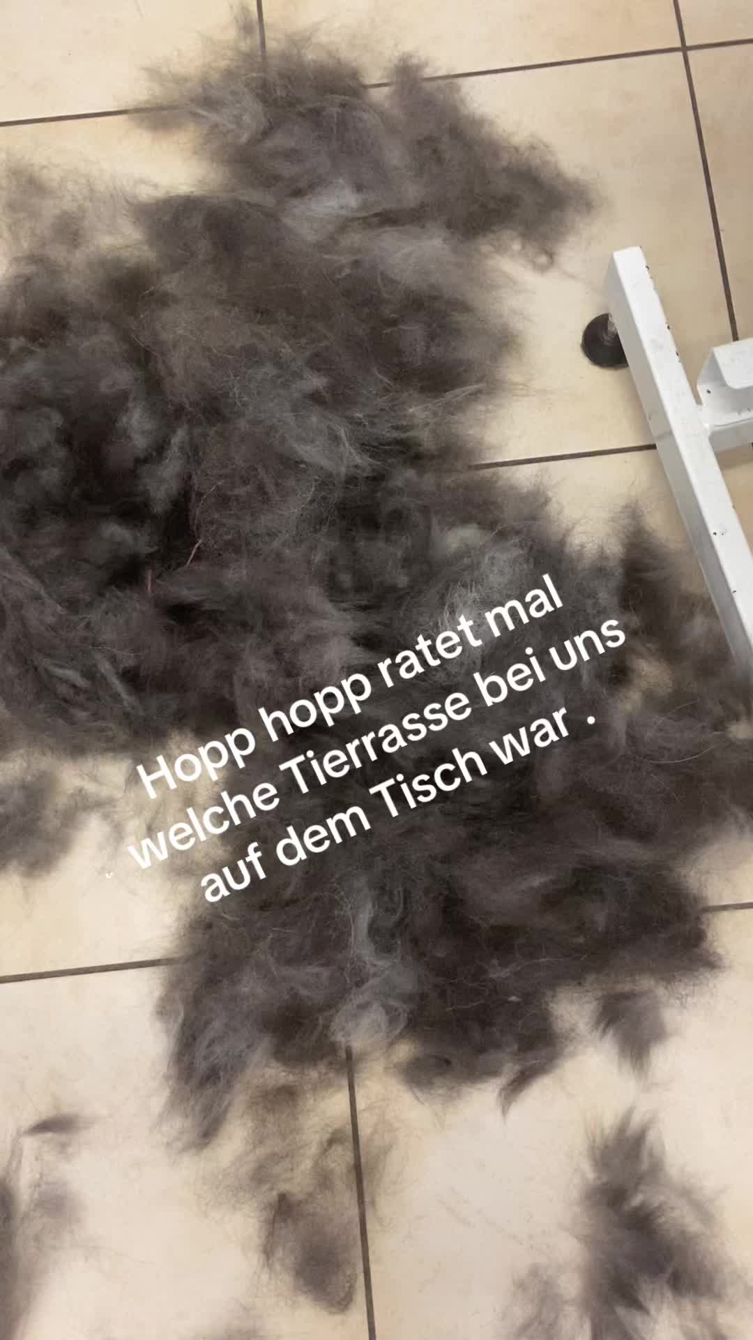 @Fellpflegerei Verena