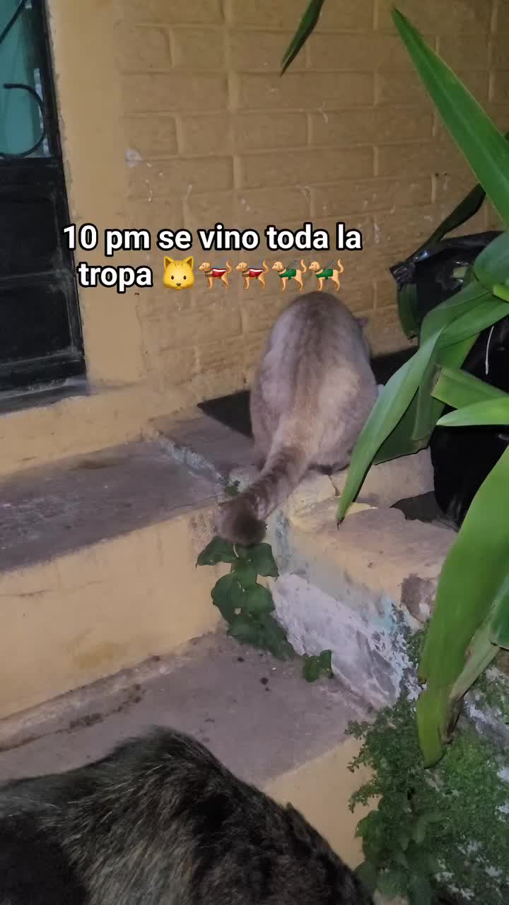@𝕃𝕚𝕤𝕤 ℝ𝕖yes🇸🇻