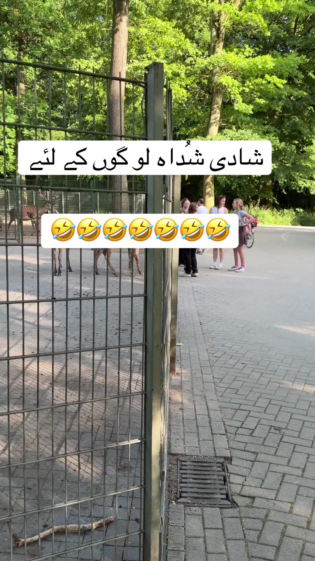 @Nasir87