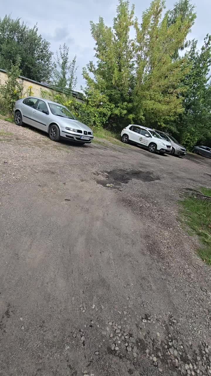 @Arti_AutografⓂ️