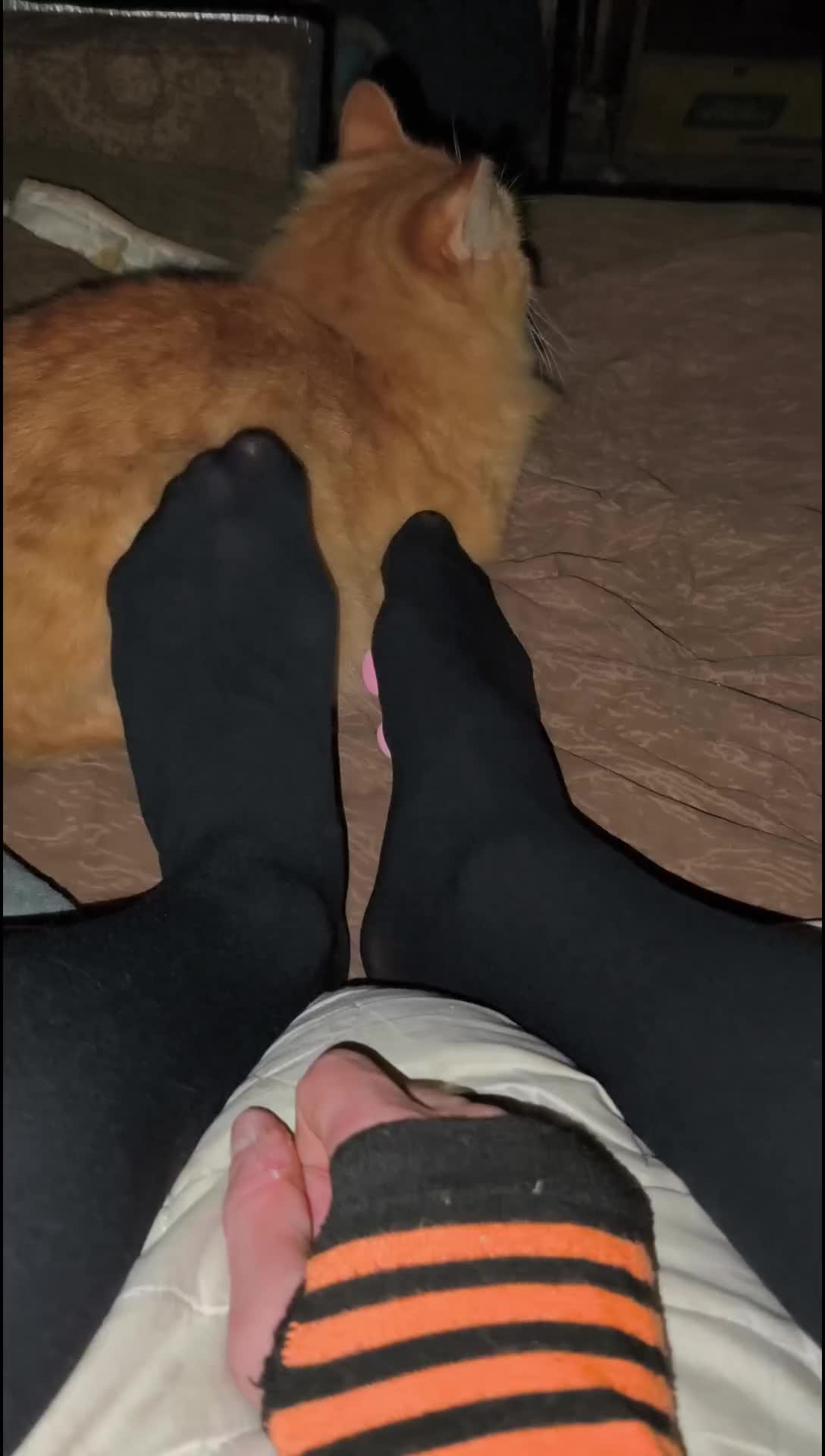 @Ruvi723