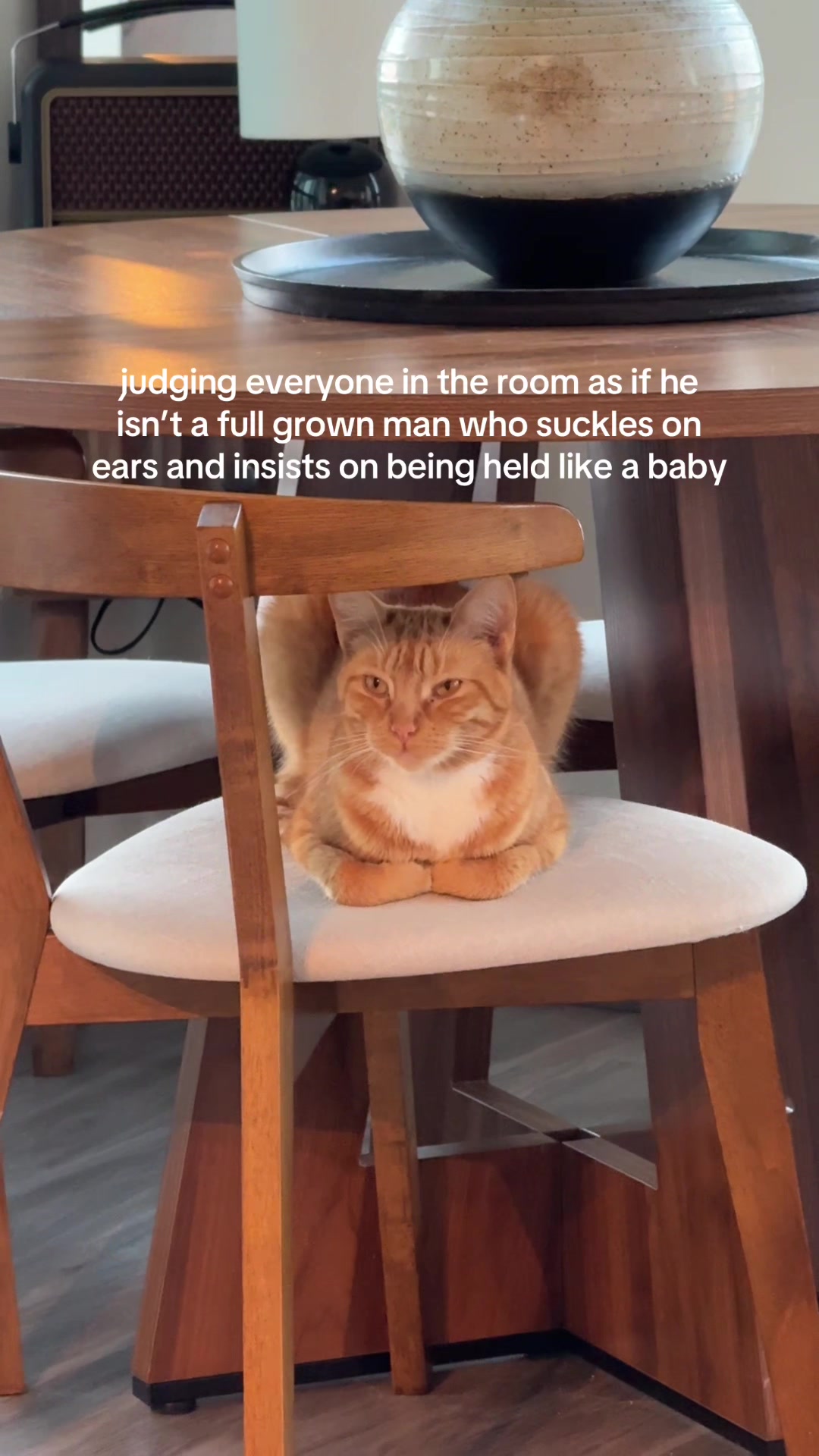 @Teddy, Bubbles, & Biscuit