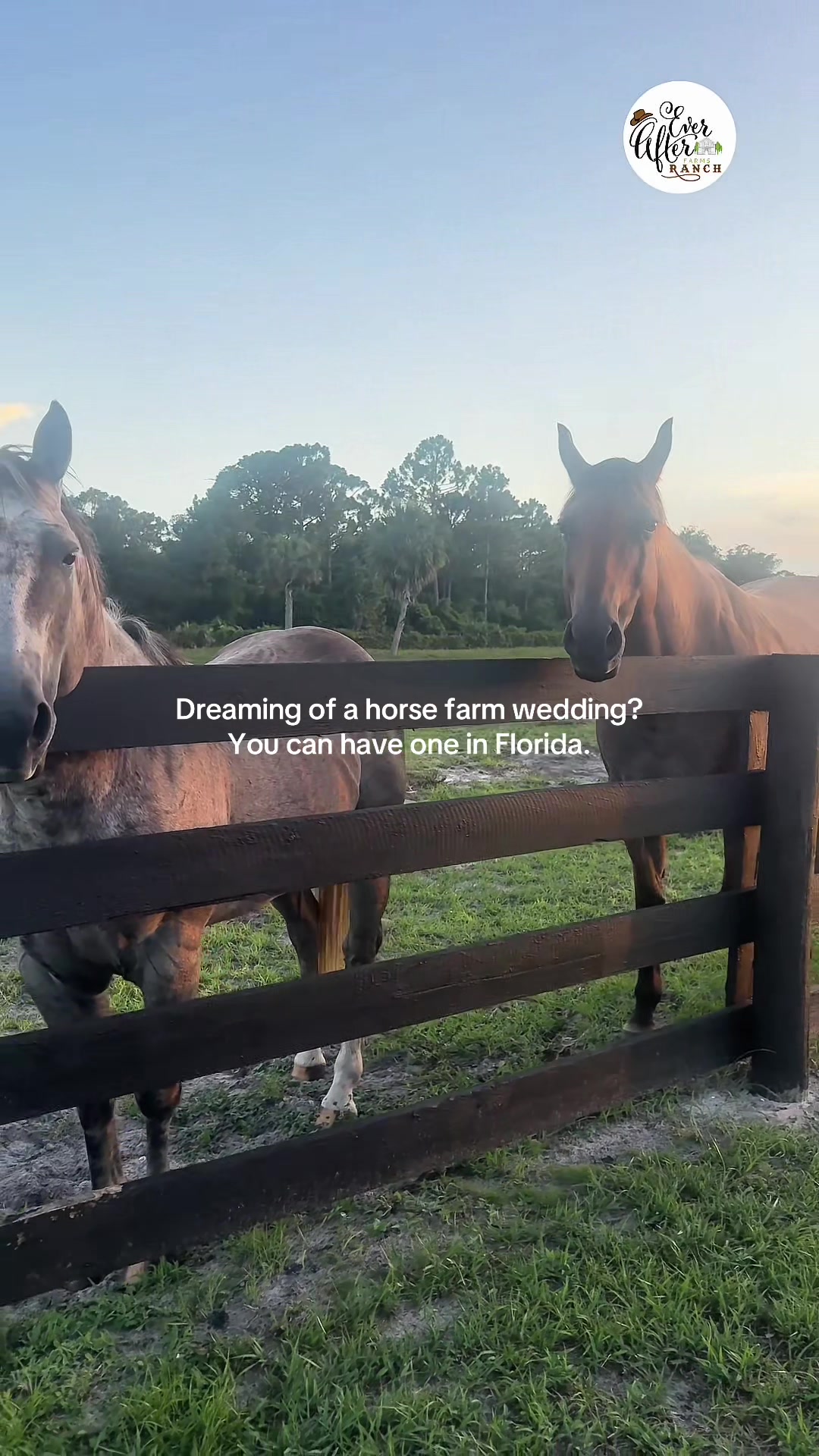 @Ever After Farms Weddings
