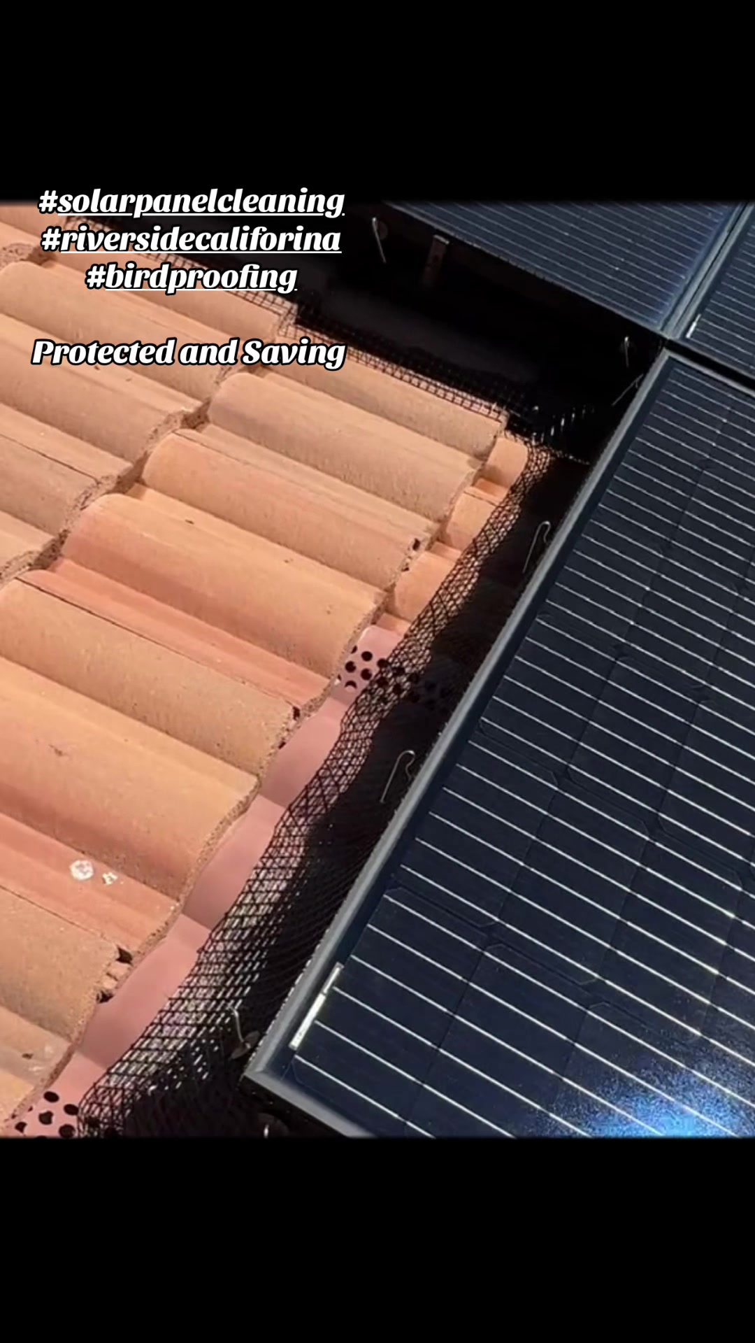 @Nick_HuuCal_Solar_Cleaning