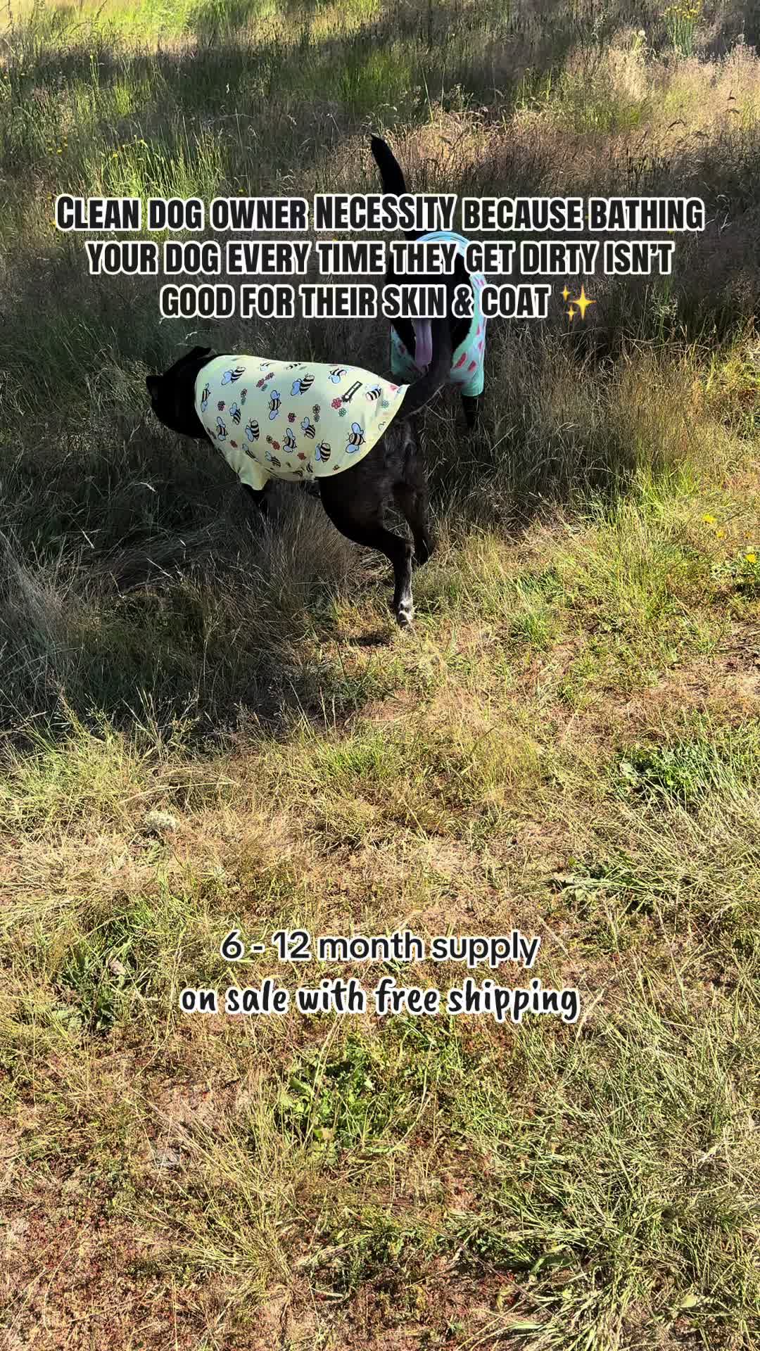 @kai•thedogmother🐾