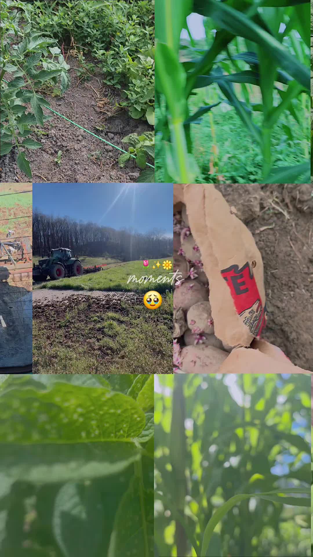 @𝙇𝙪𝙞𝙞502👨&zwj;🌾