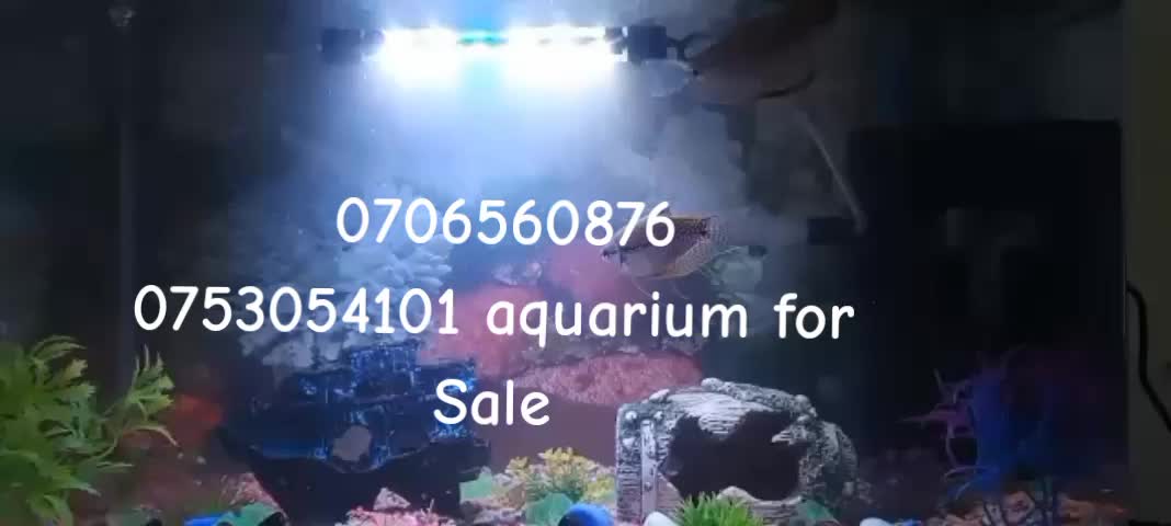 @BALO'S AQUARIUMS