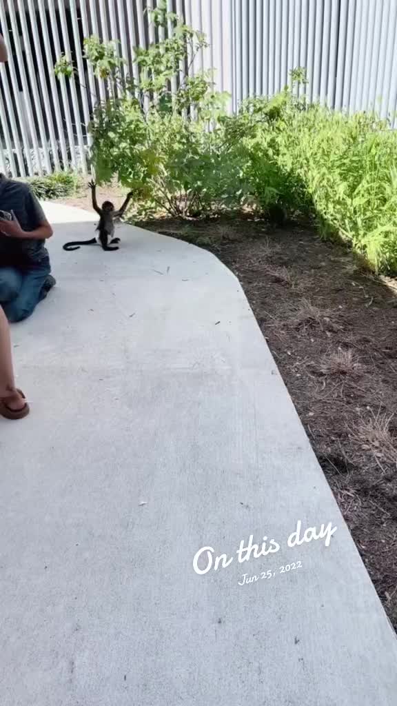 @ShockzU🦆