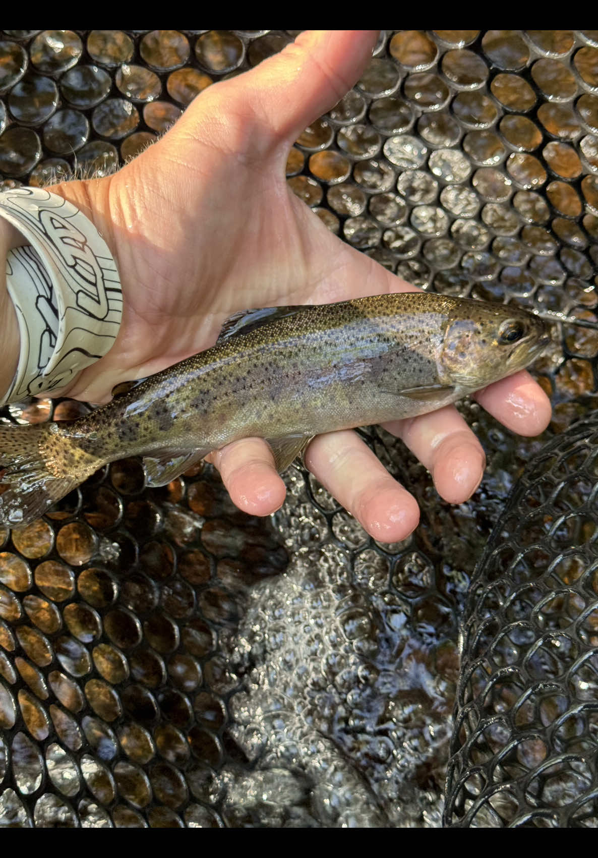 @FlyFishDelawhere