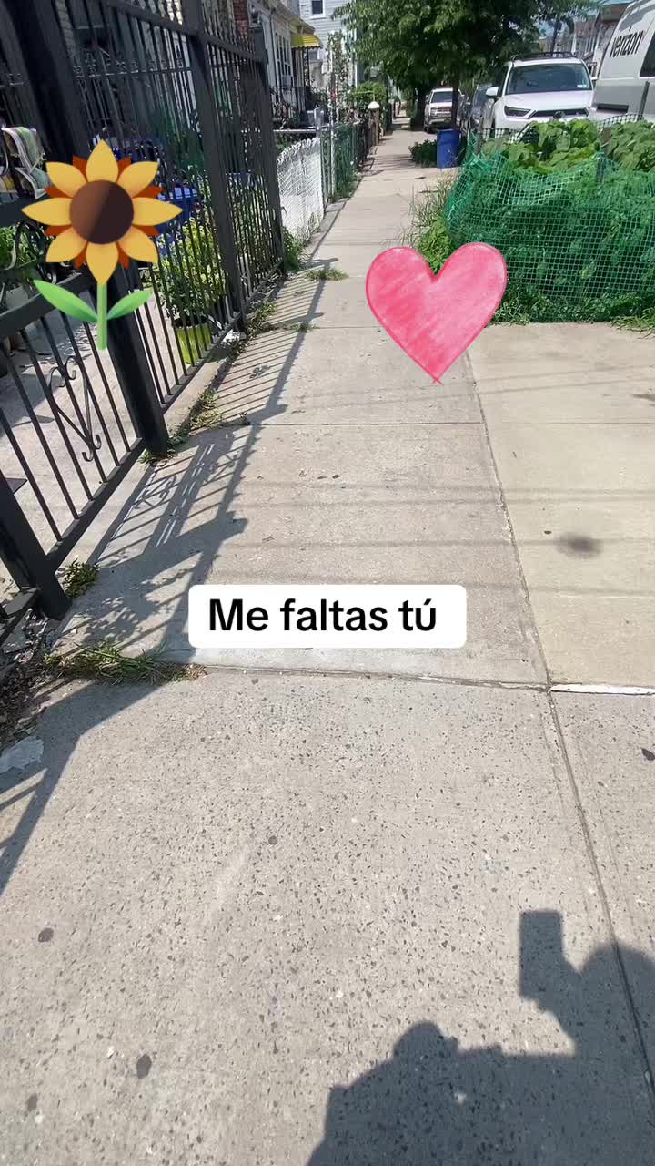 @Zoila