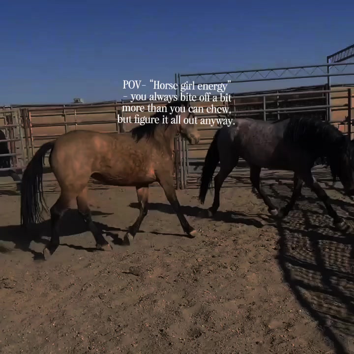 @wild.horsewoman