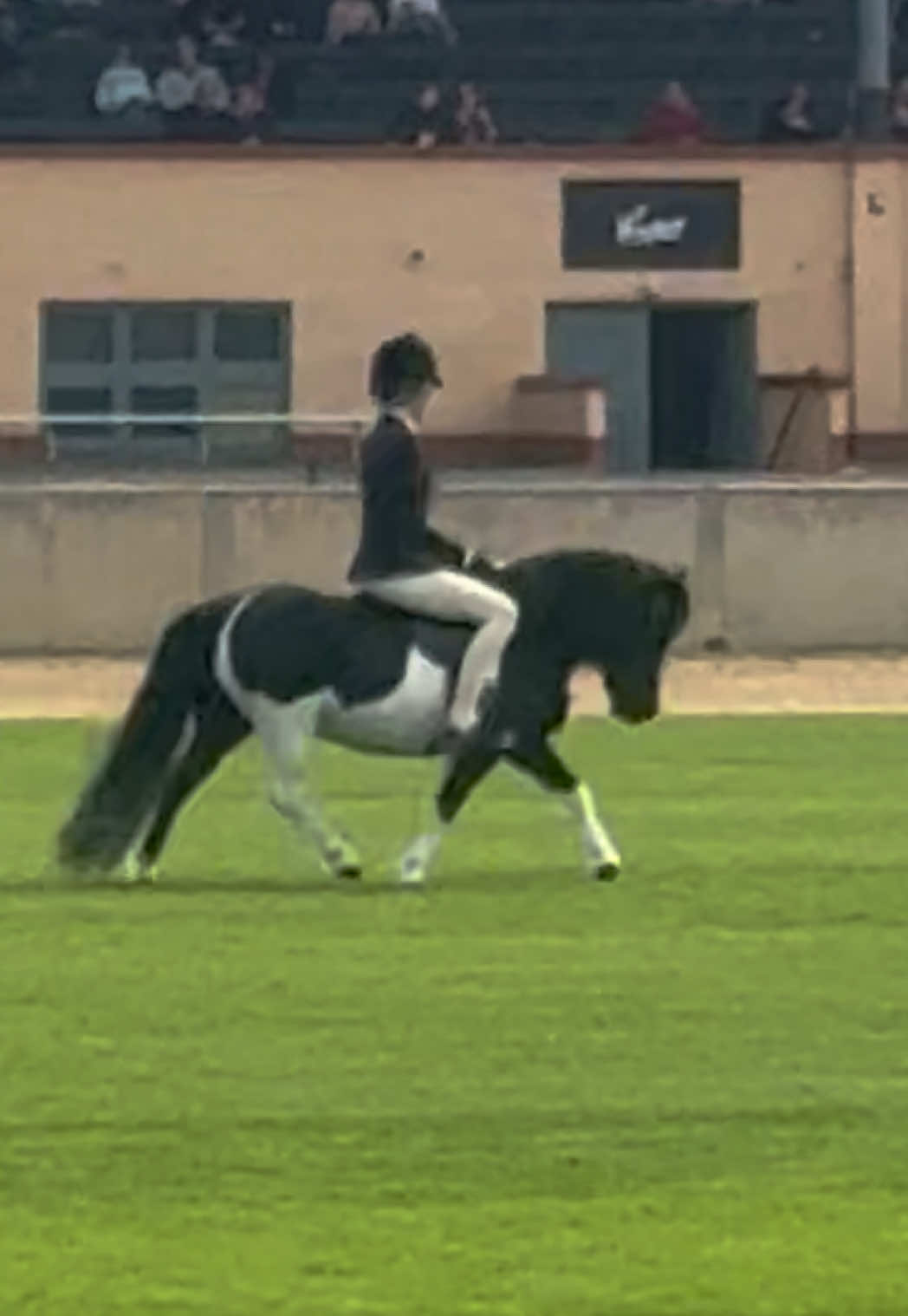 @🖤 Savs ponies🤍