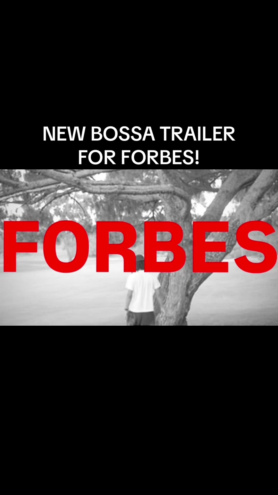 @bossavault