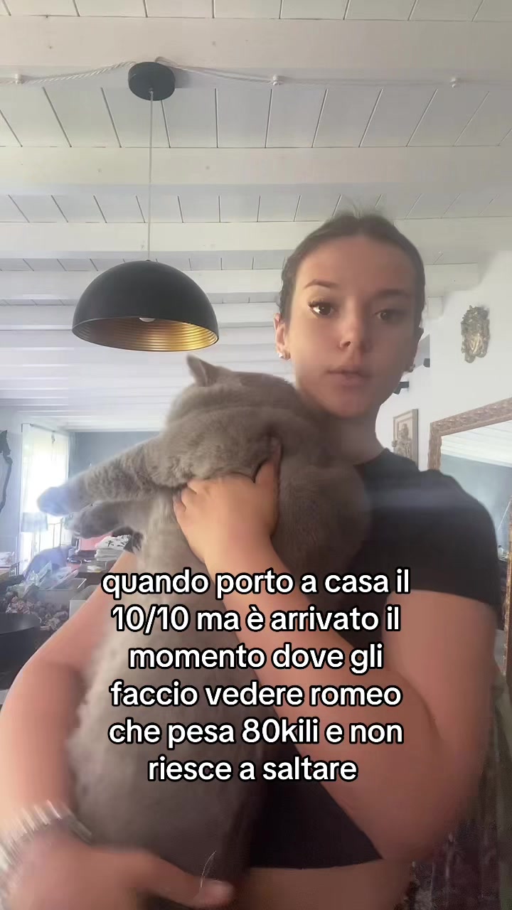 @rebex__18