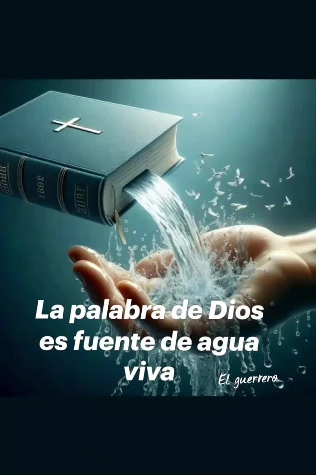 @mayra gracia❤️❤️