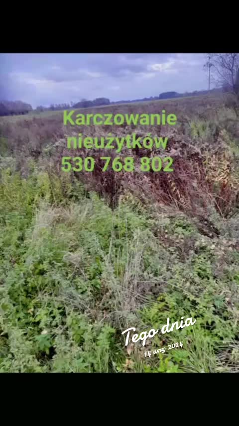 @Usługi Ogrodnicze Ważny