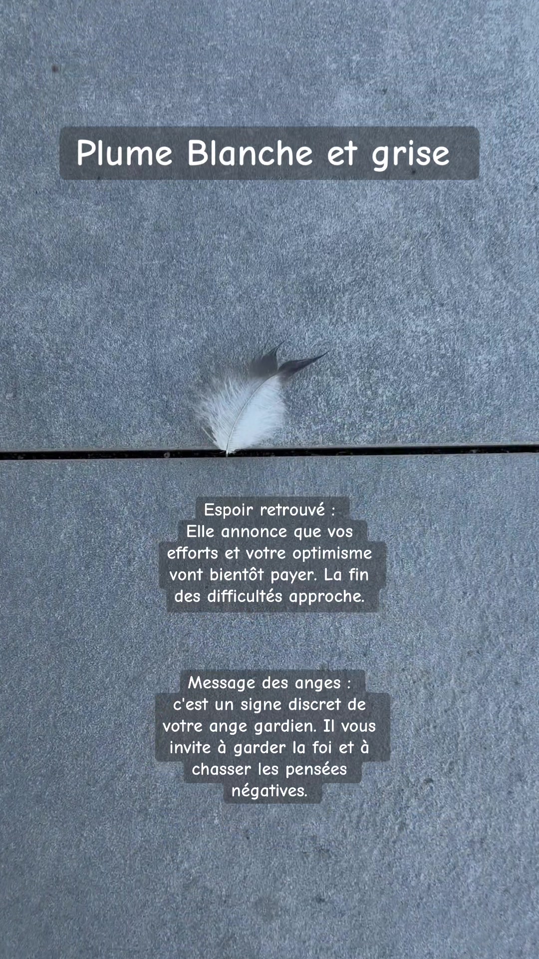 @Marion🪽Messager Céleste