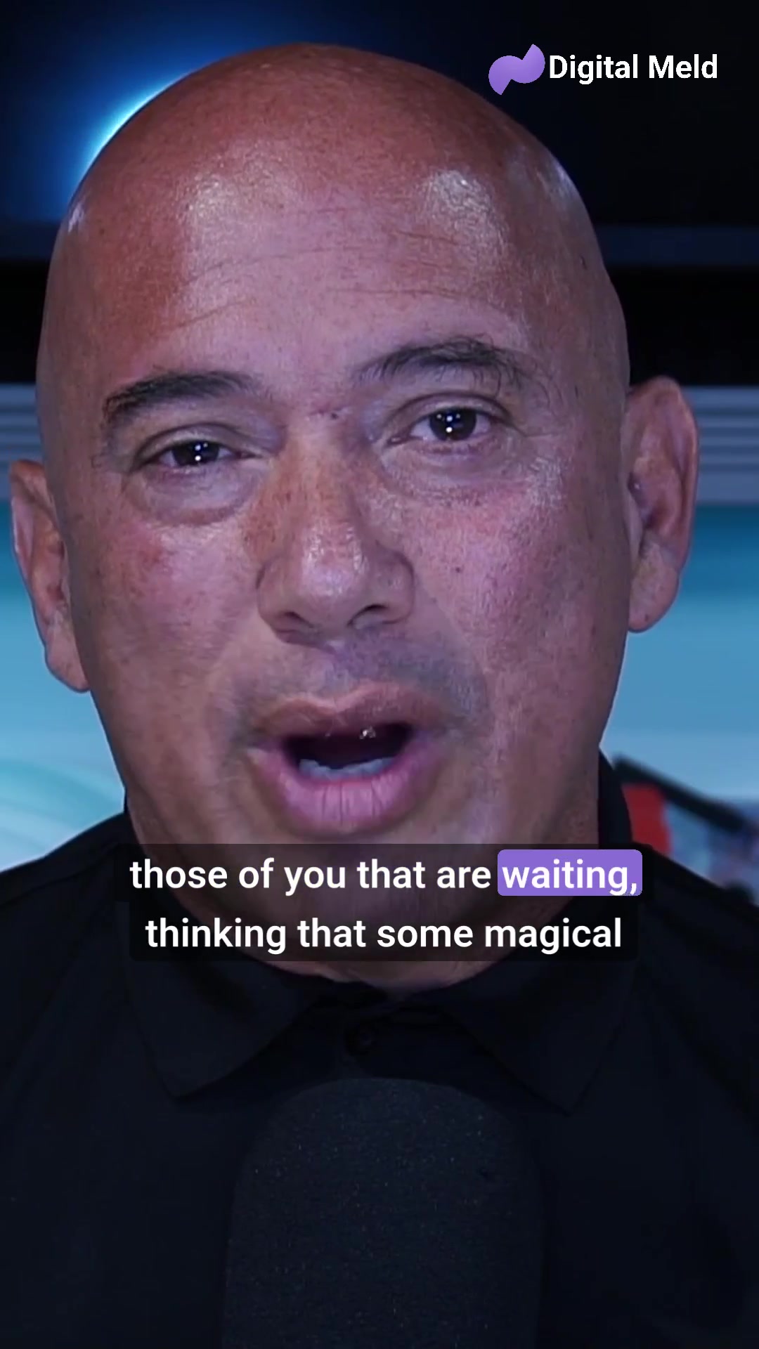 @Digital Meld